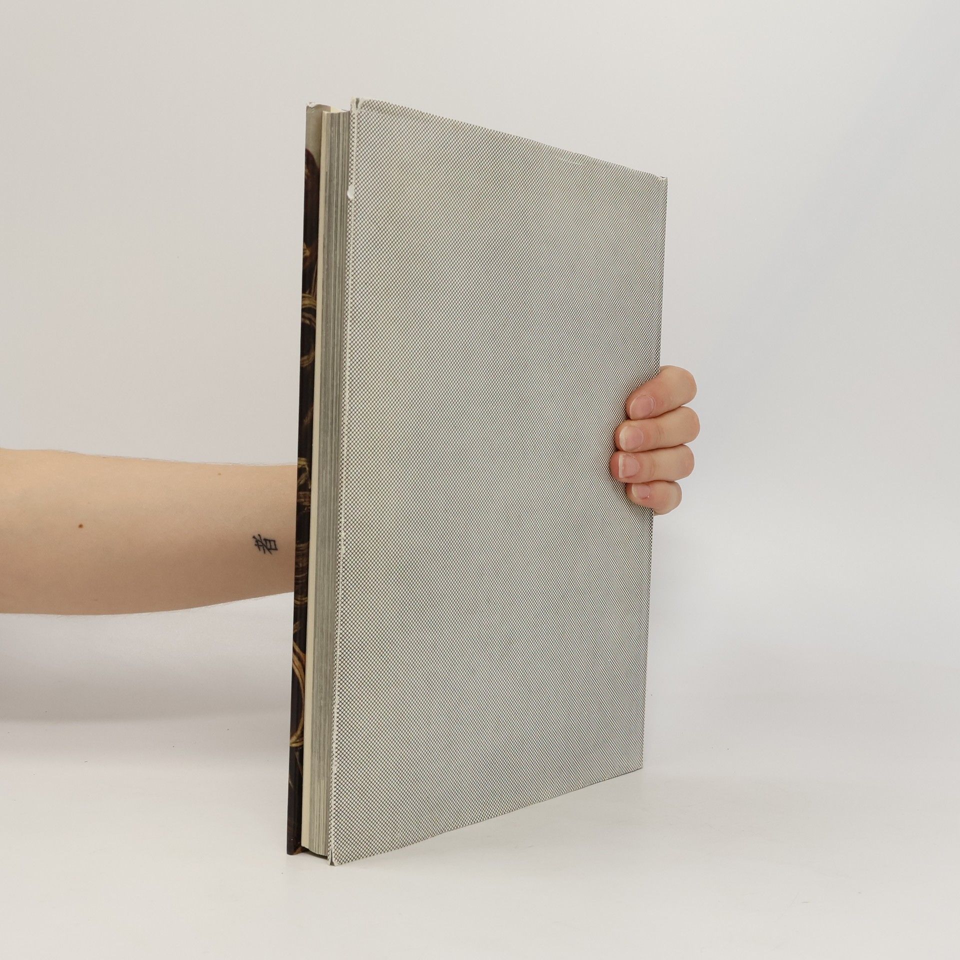 Autorenkollektiv Monumente des Abendlandes : Europäische Plastik, Spätgotik, Renaissance