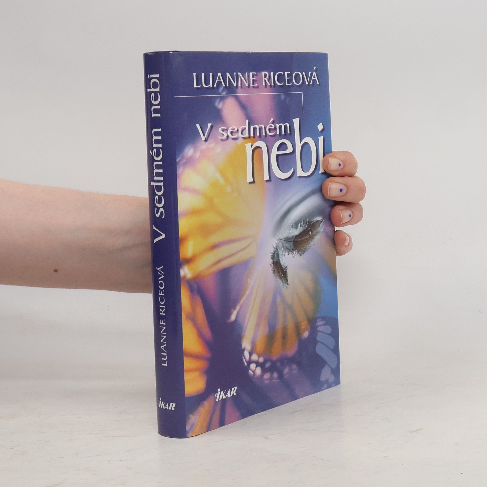 Luanne Rice V sedmém nebi