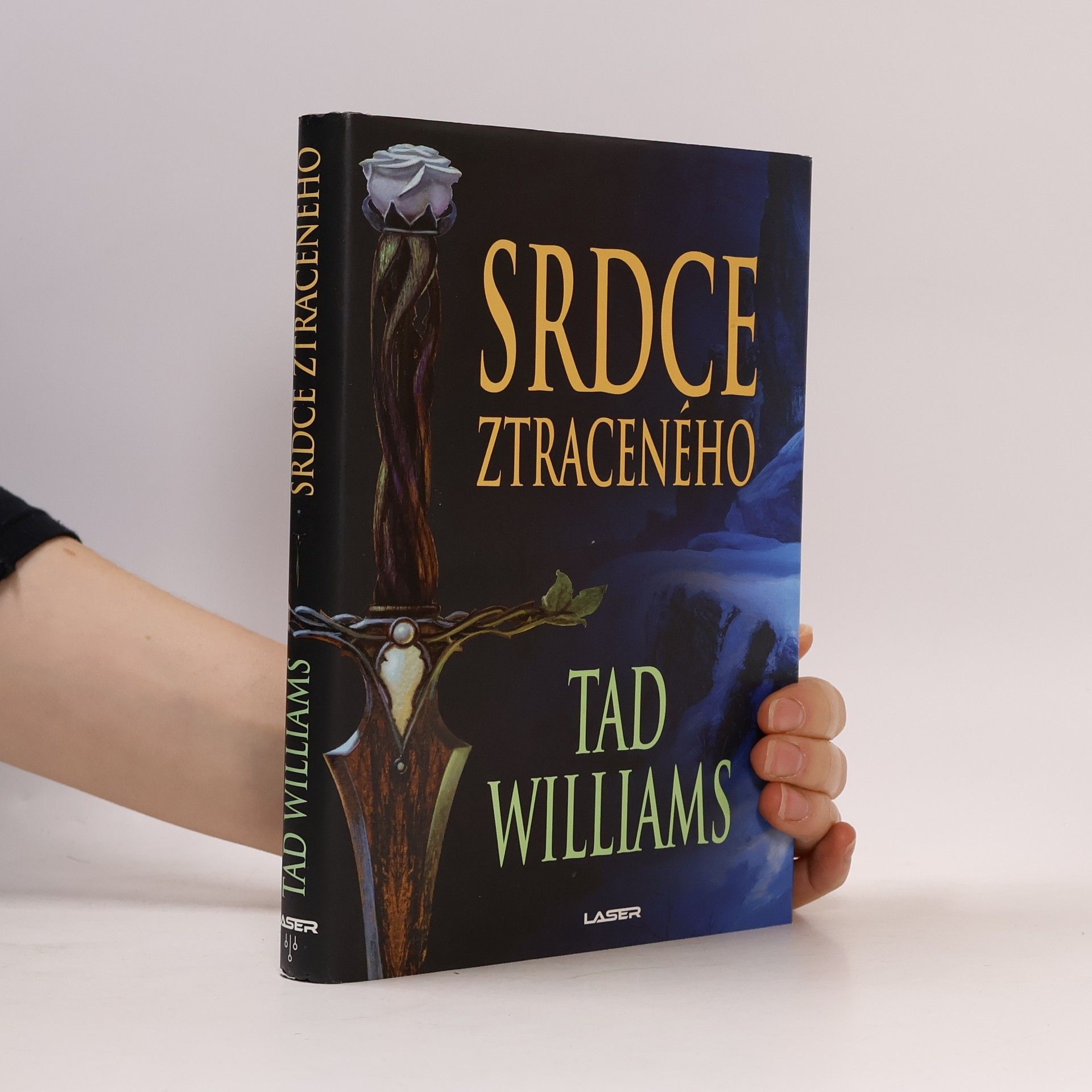 Tad Williams Srdce ztraceného