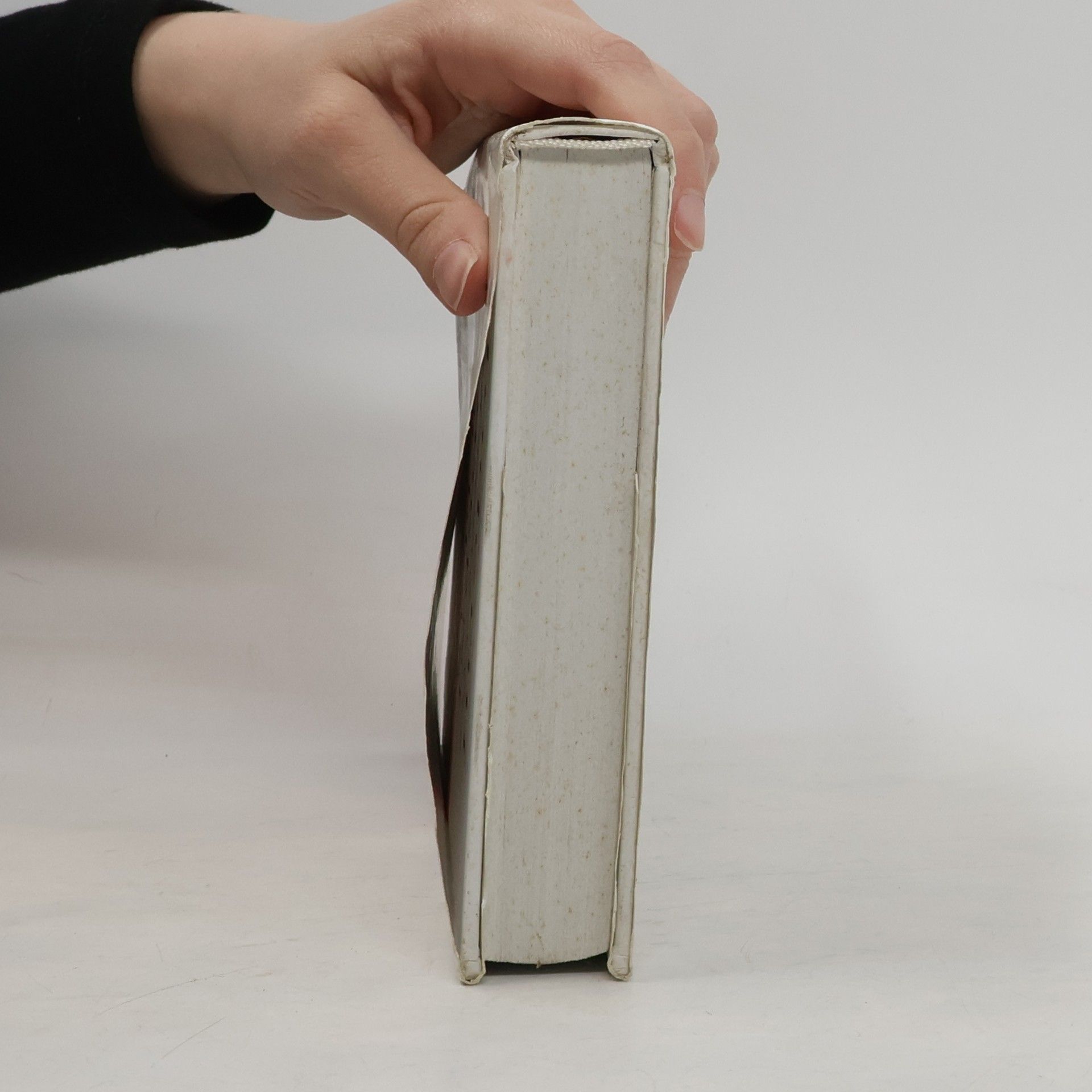 Various authors Moderní sekretářka, moderní kancelář