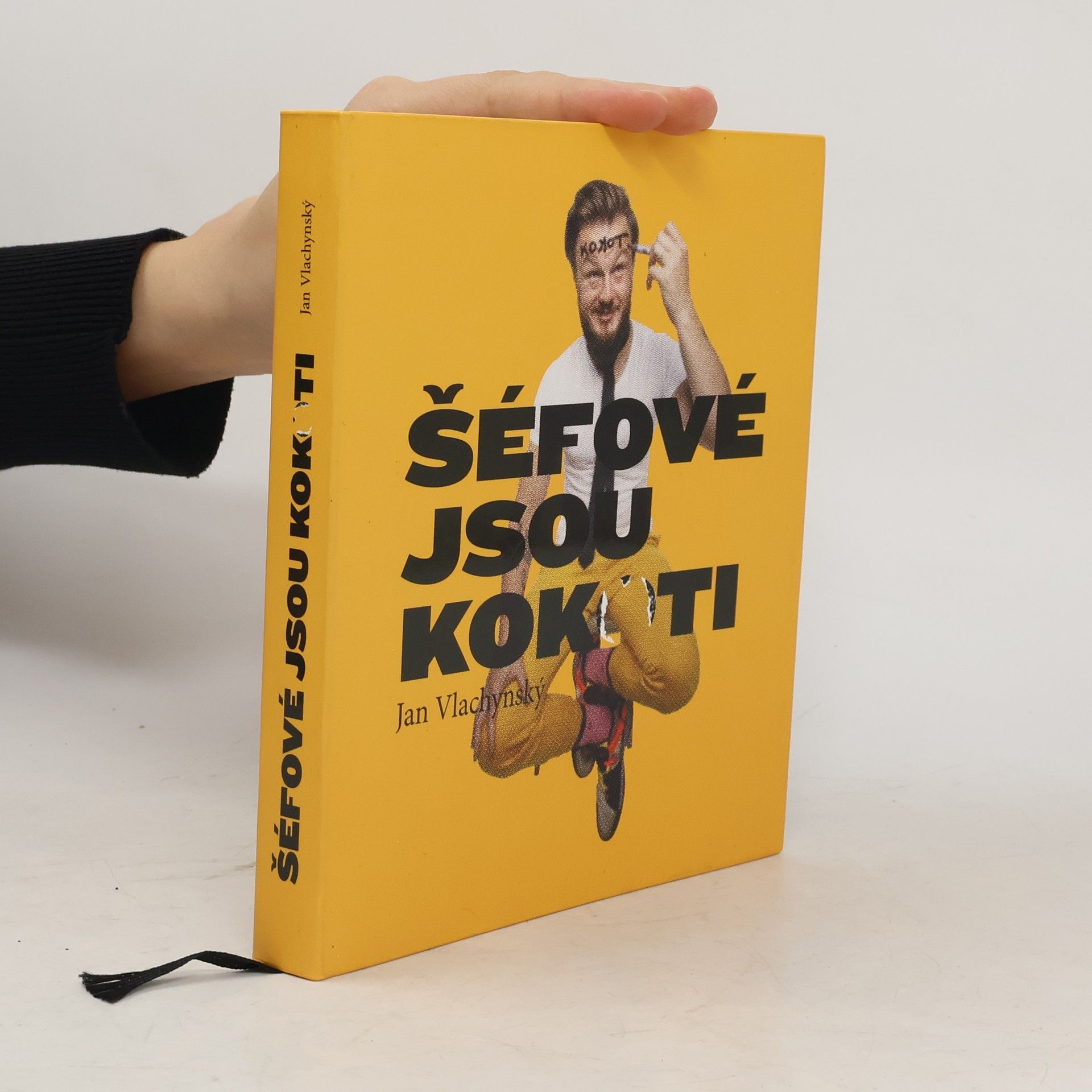 Jan Vlachynský Šéfové jsou kokoti