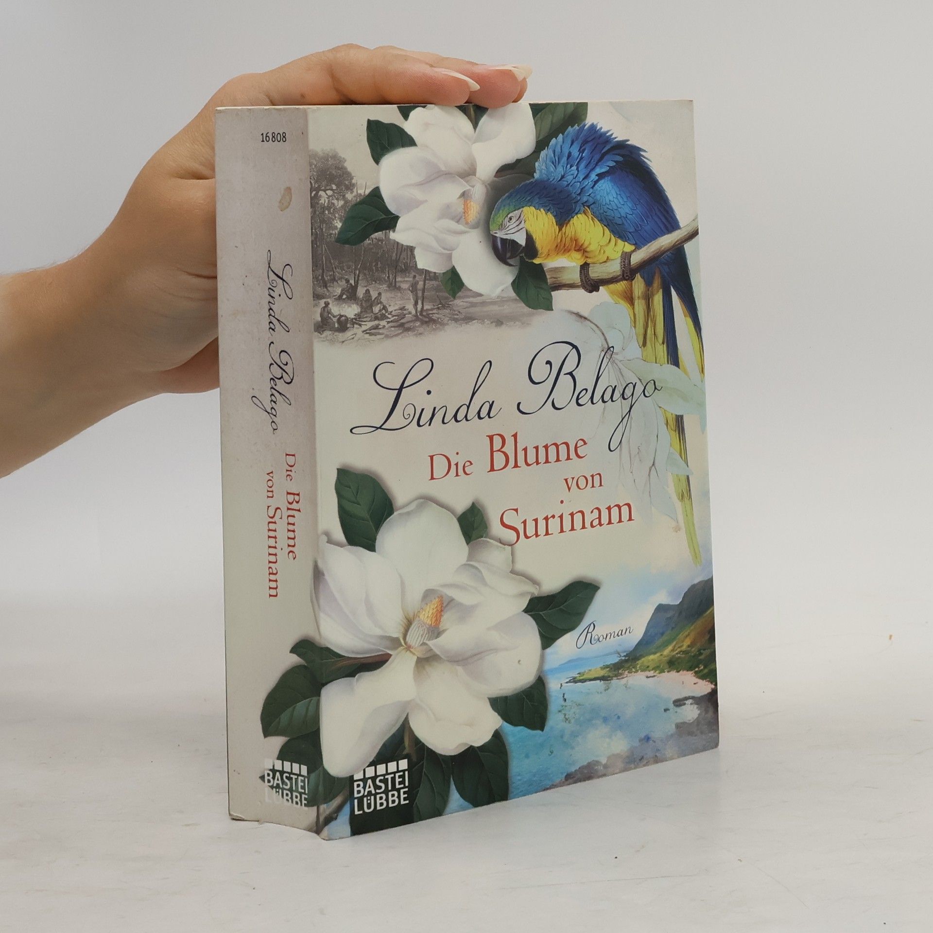 Linda Belago Die Blume von Surinam