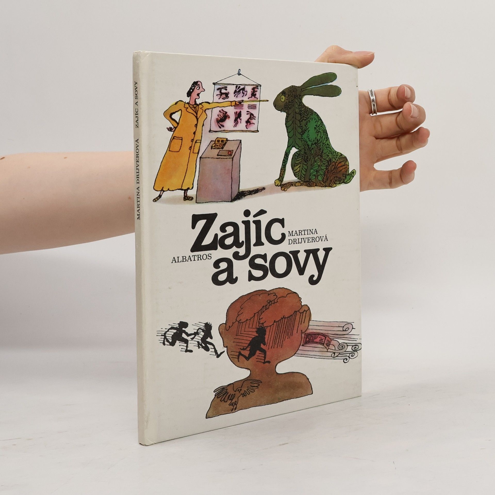 Zajíc a sovy