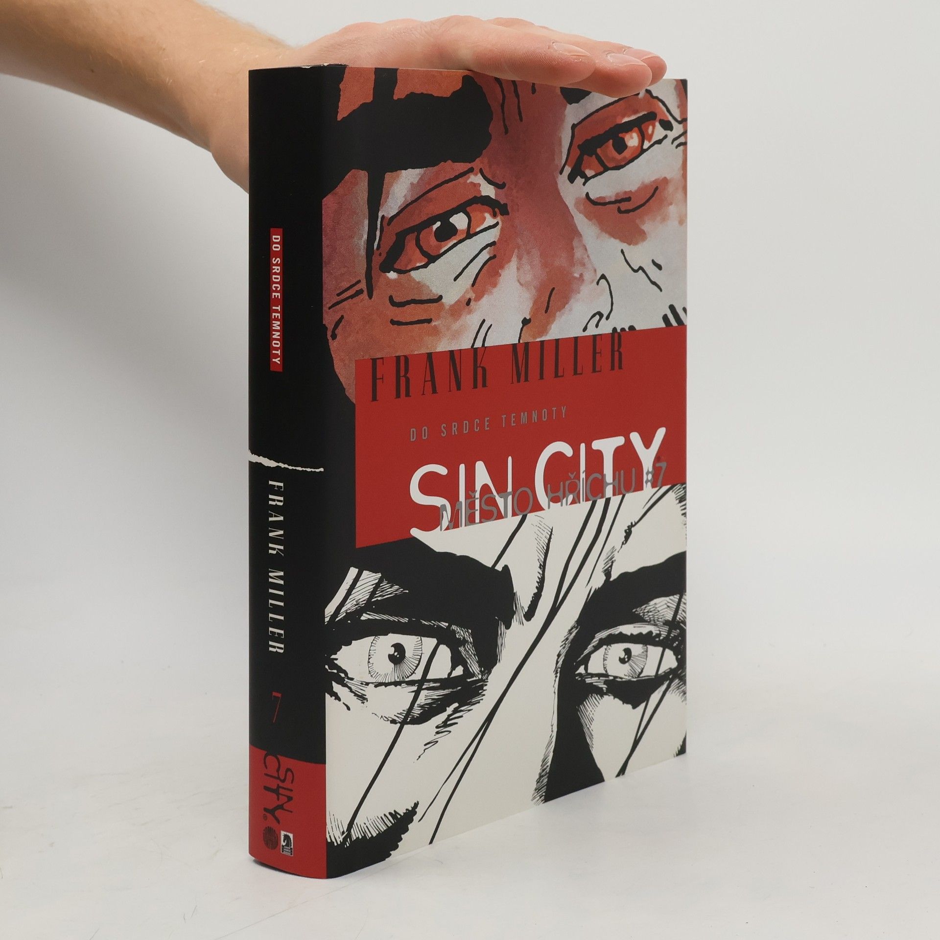 Frank Miller Sin City. Město hříchu 7. Do srdce temnoty (vázaná)
