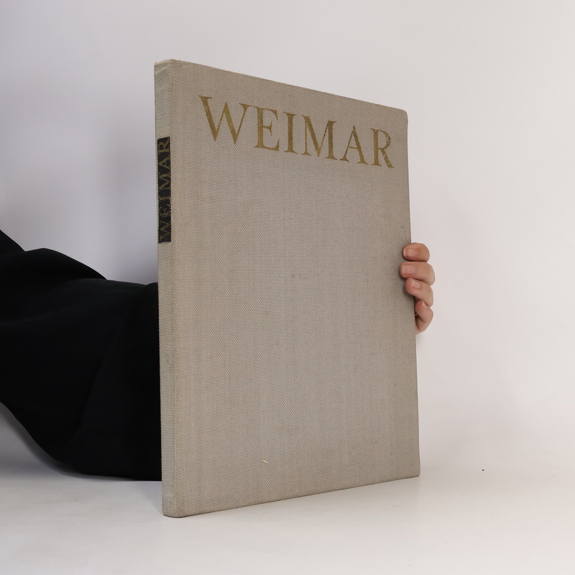 Theo Piana Weimar