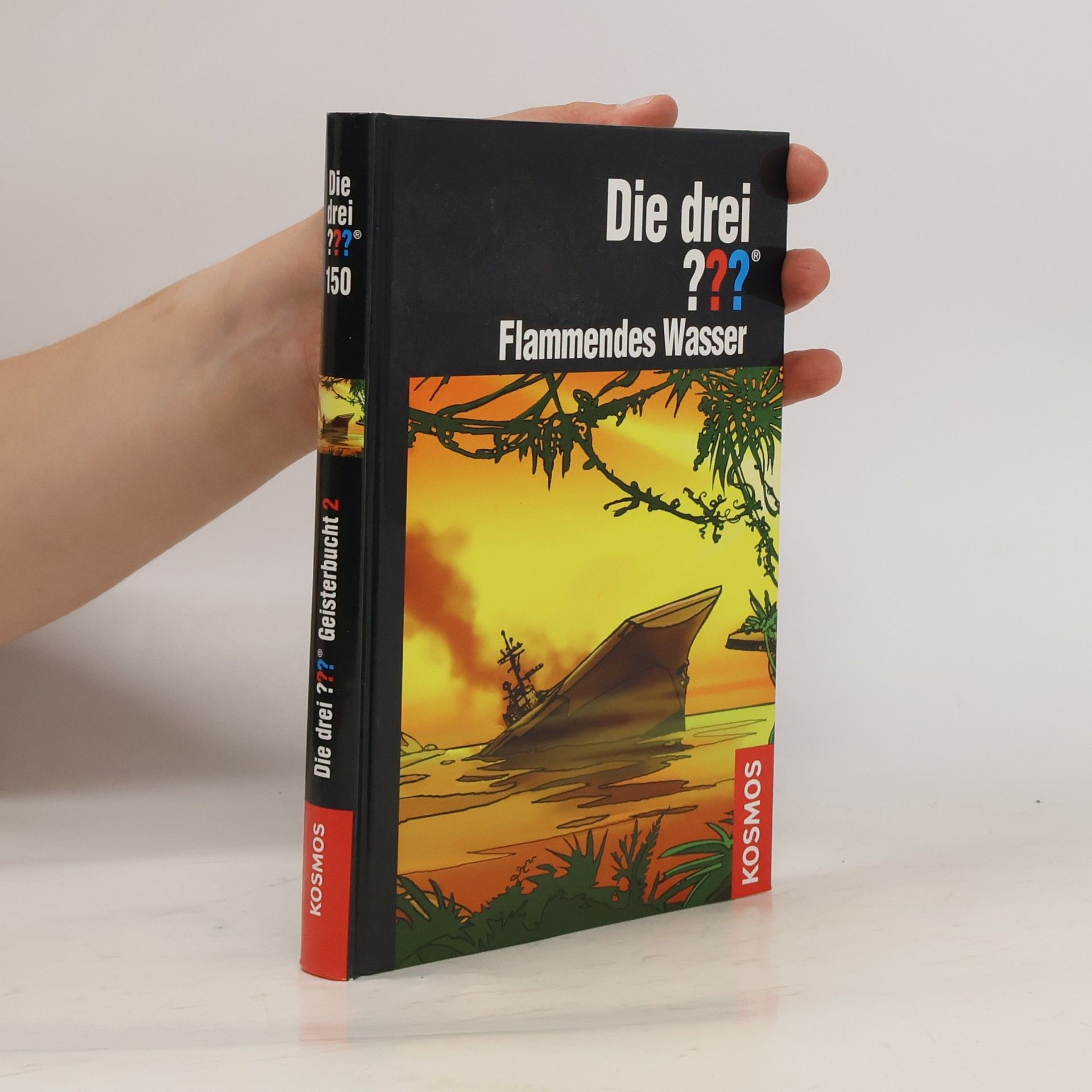 Rashuras Schatz Die drei??? Rashuras Schatz