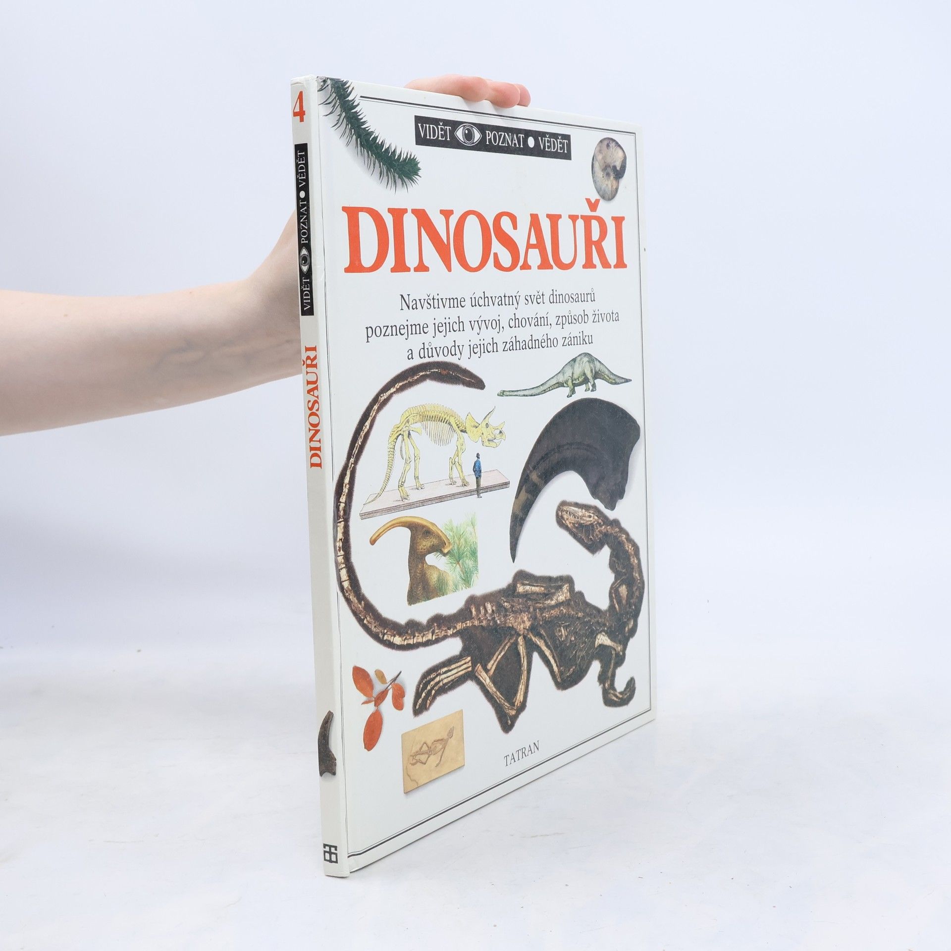 Dinosauři