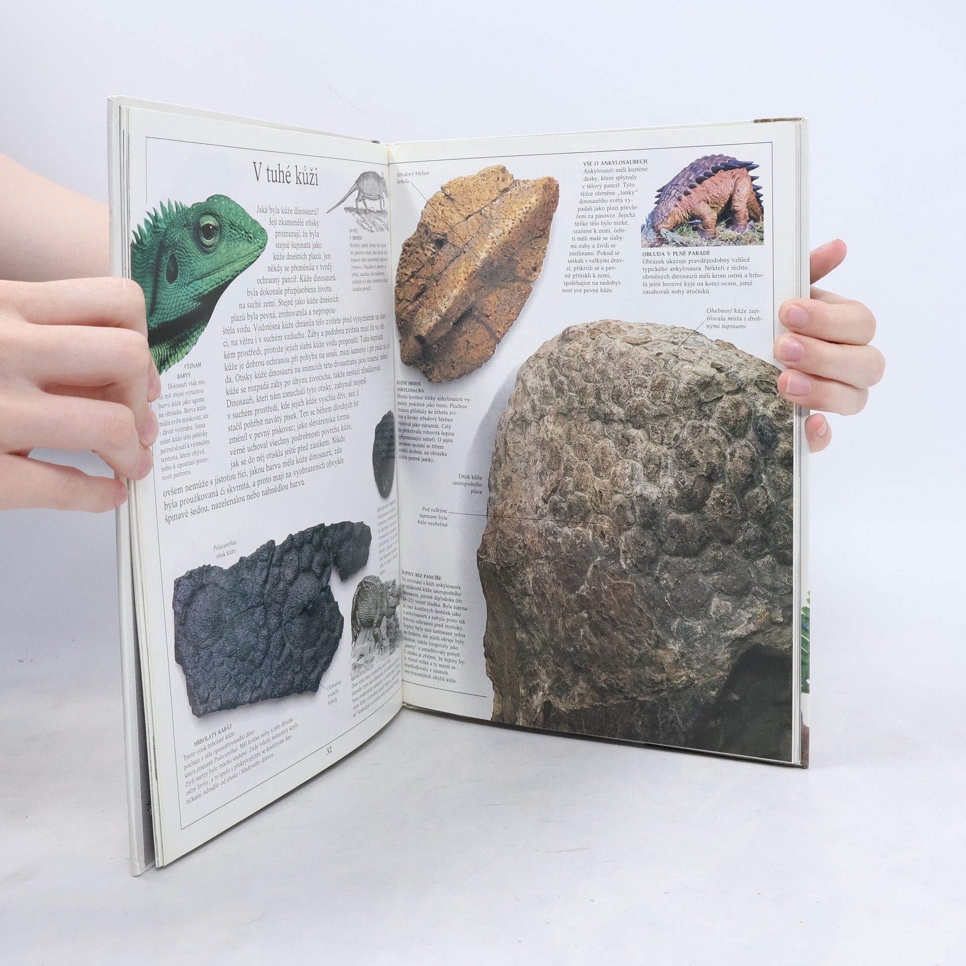 Autorenkollektiv Dinosauři