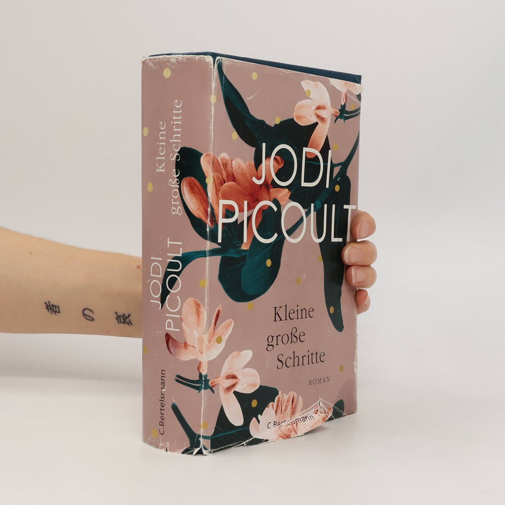 Jodi Picoult Kleine große Schritte