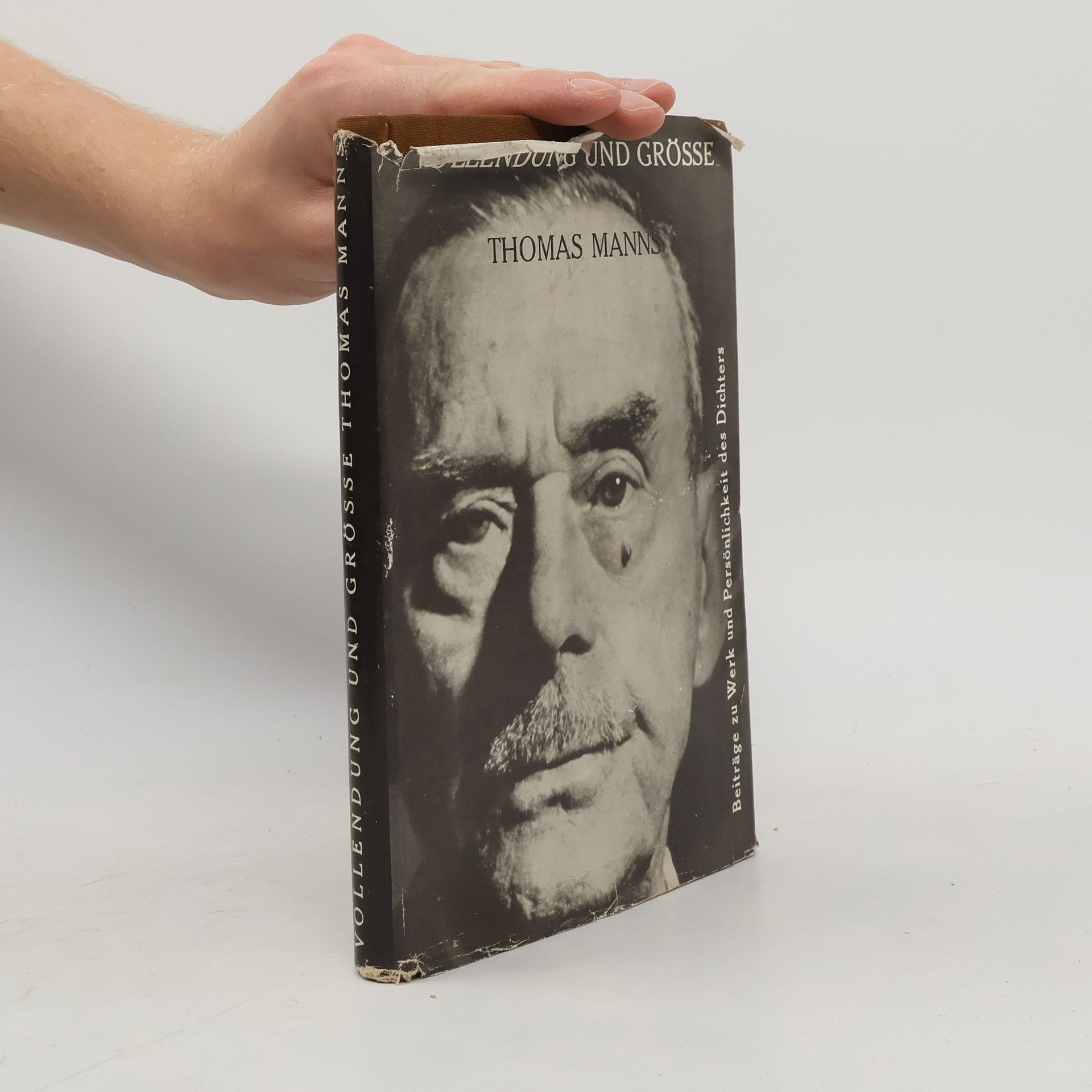 Thomas Mann Vollendung und Grösse