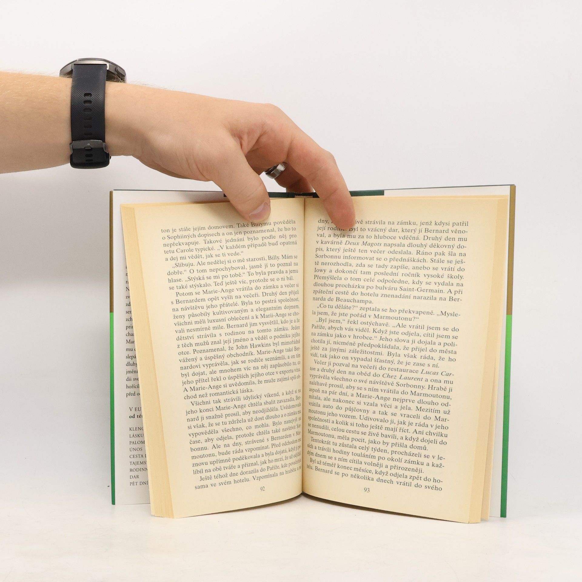 Danielle Steel Odvážné rozhodnutí