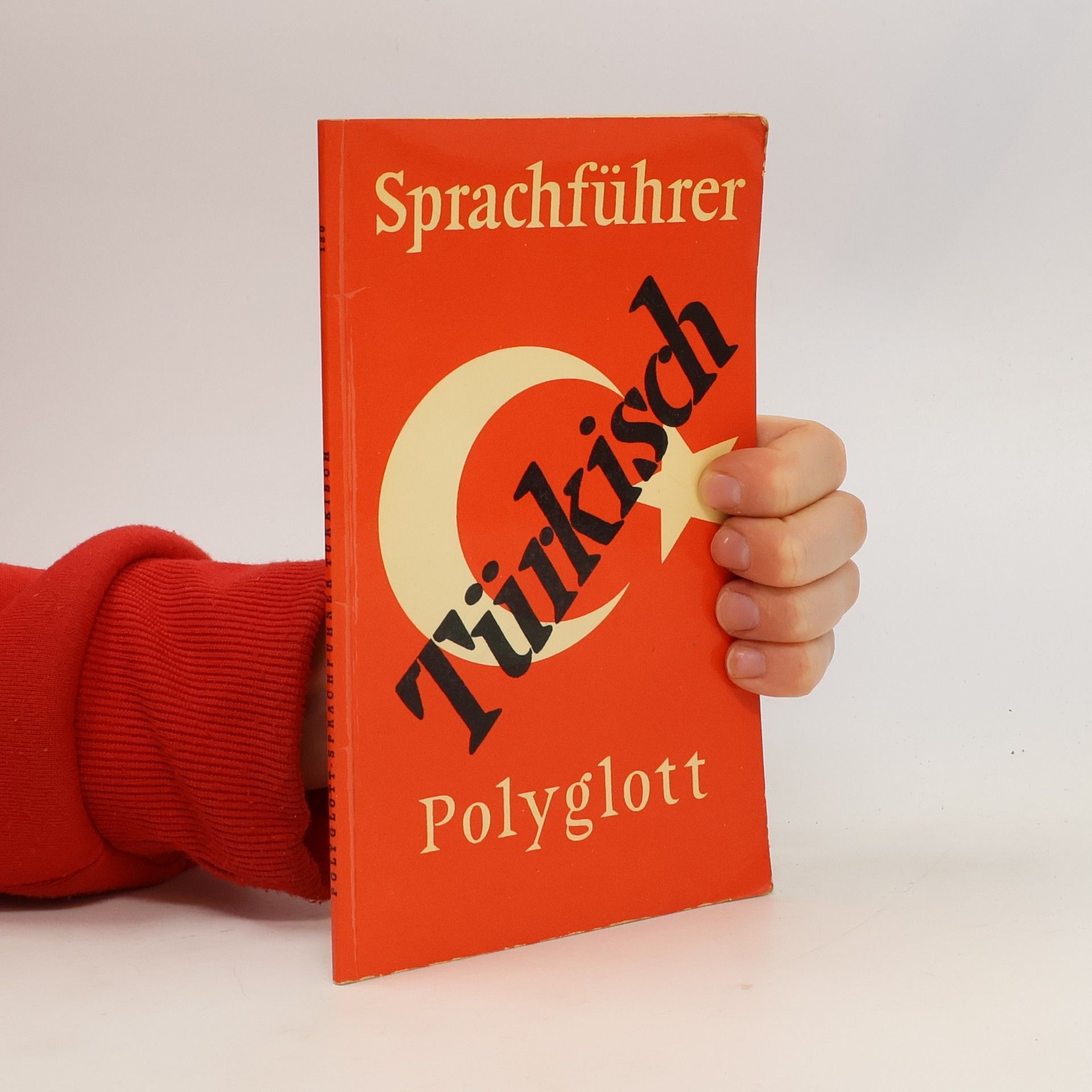 Kolektív autorov Sprachführer Türkisch
