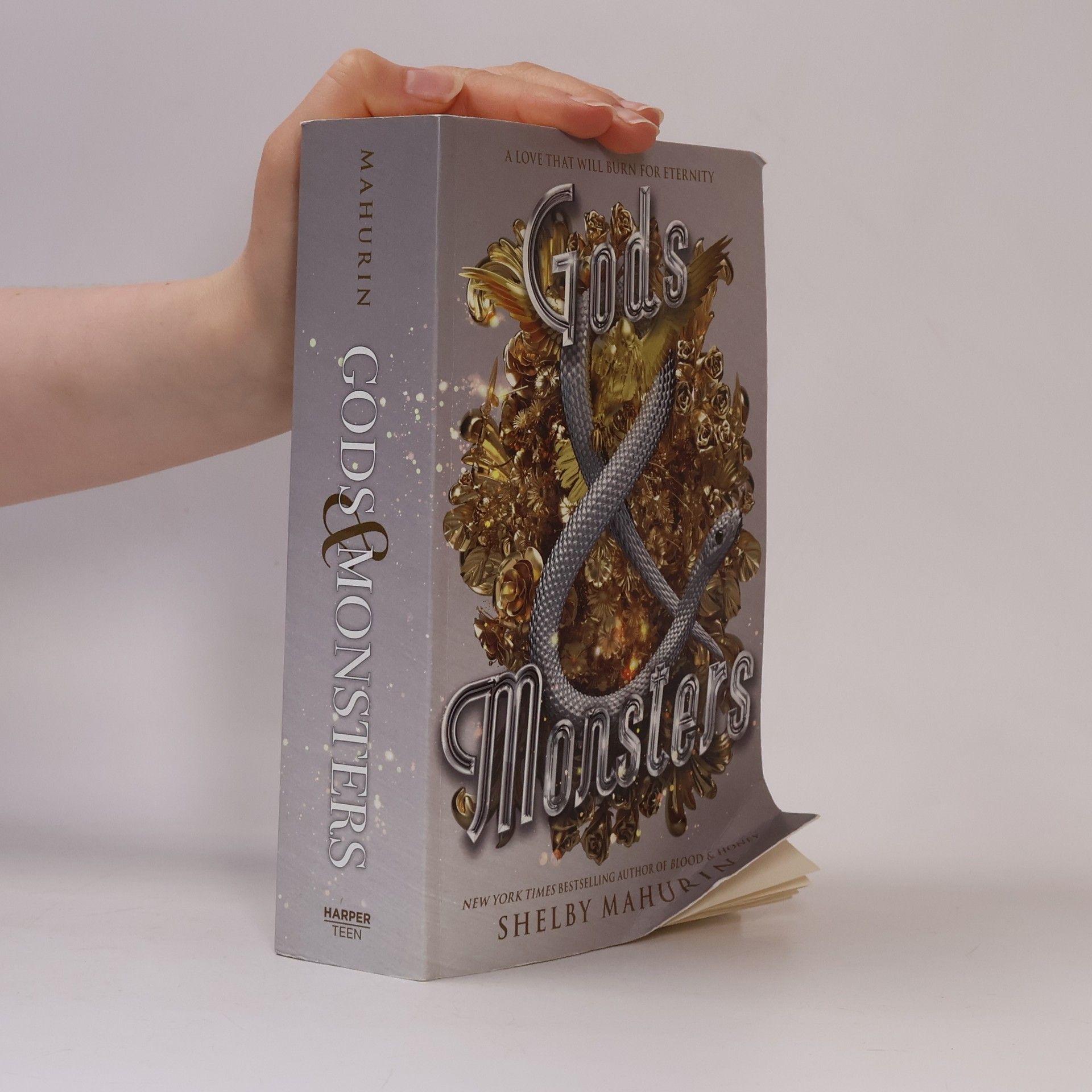 Shelby Mahurin Gods and Monsters