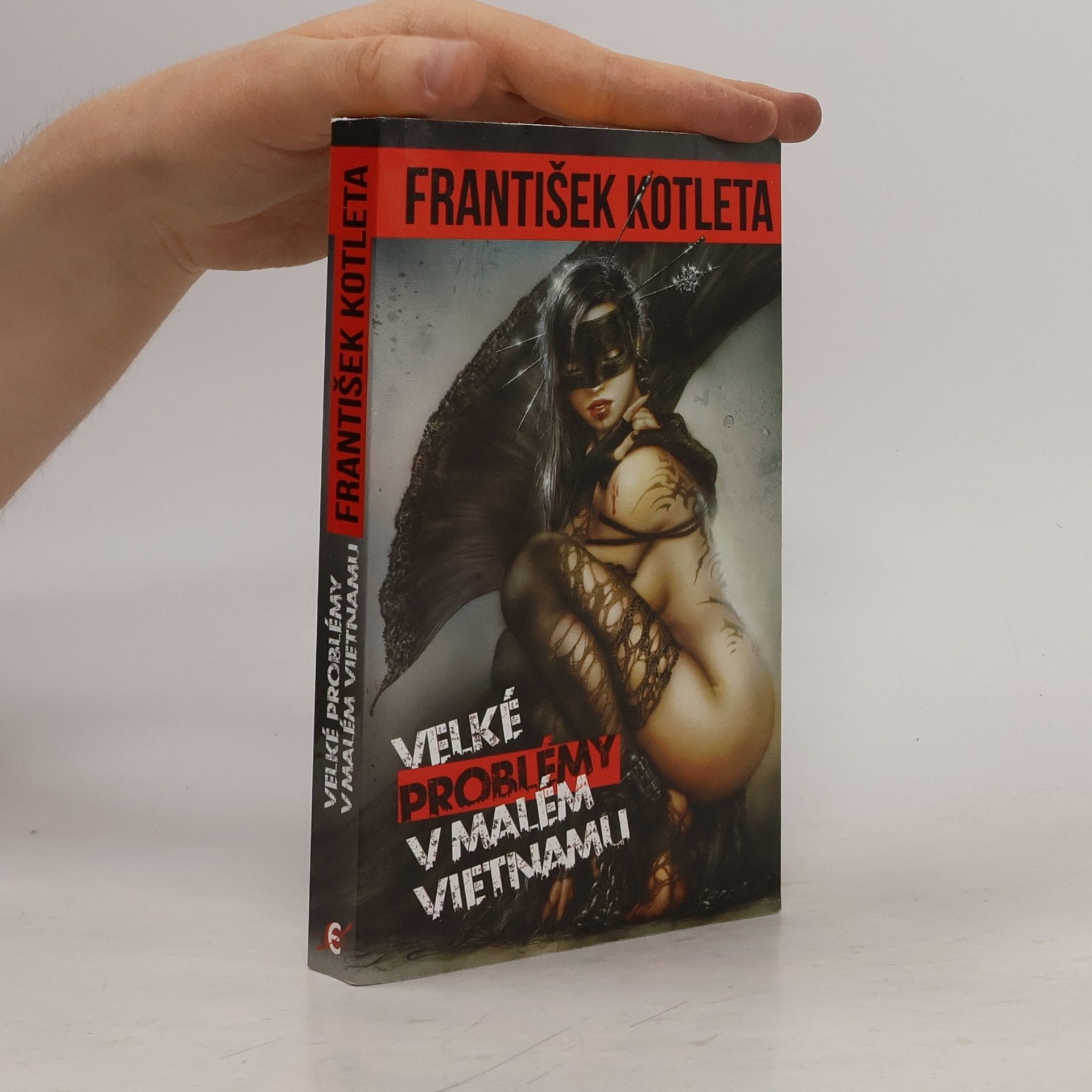 Velké problémy v Malém Vietnamu