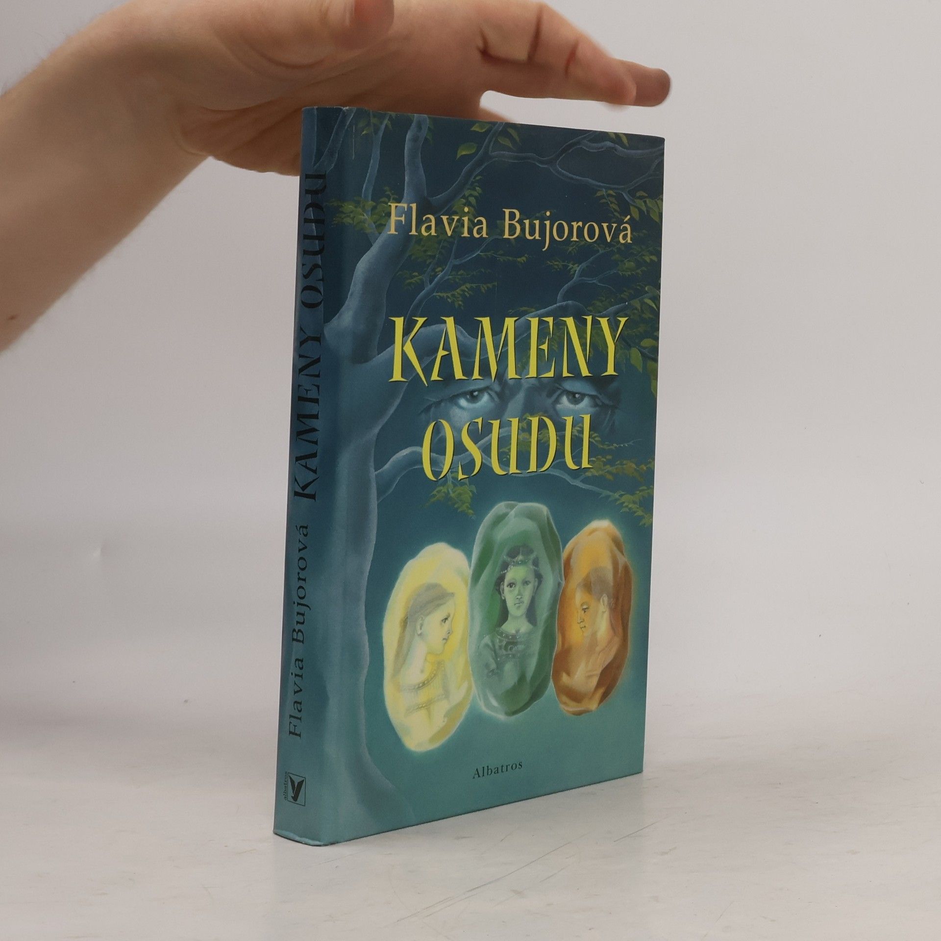 Flavia Bujor Kameny osudu