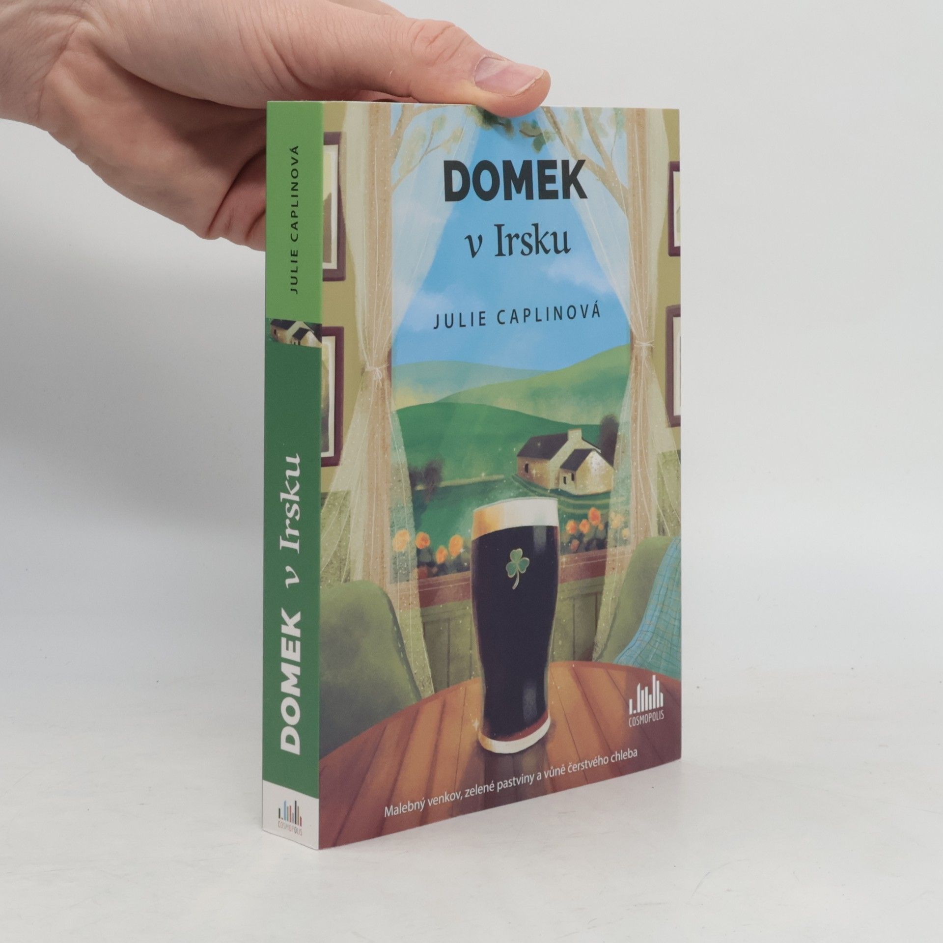 Julie Caplin Domek v Irsku