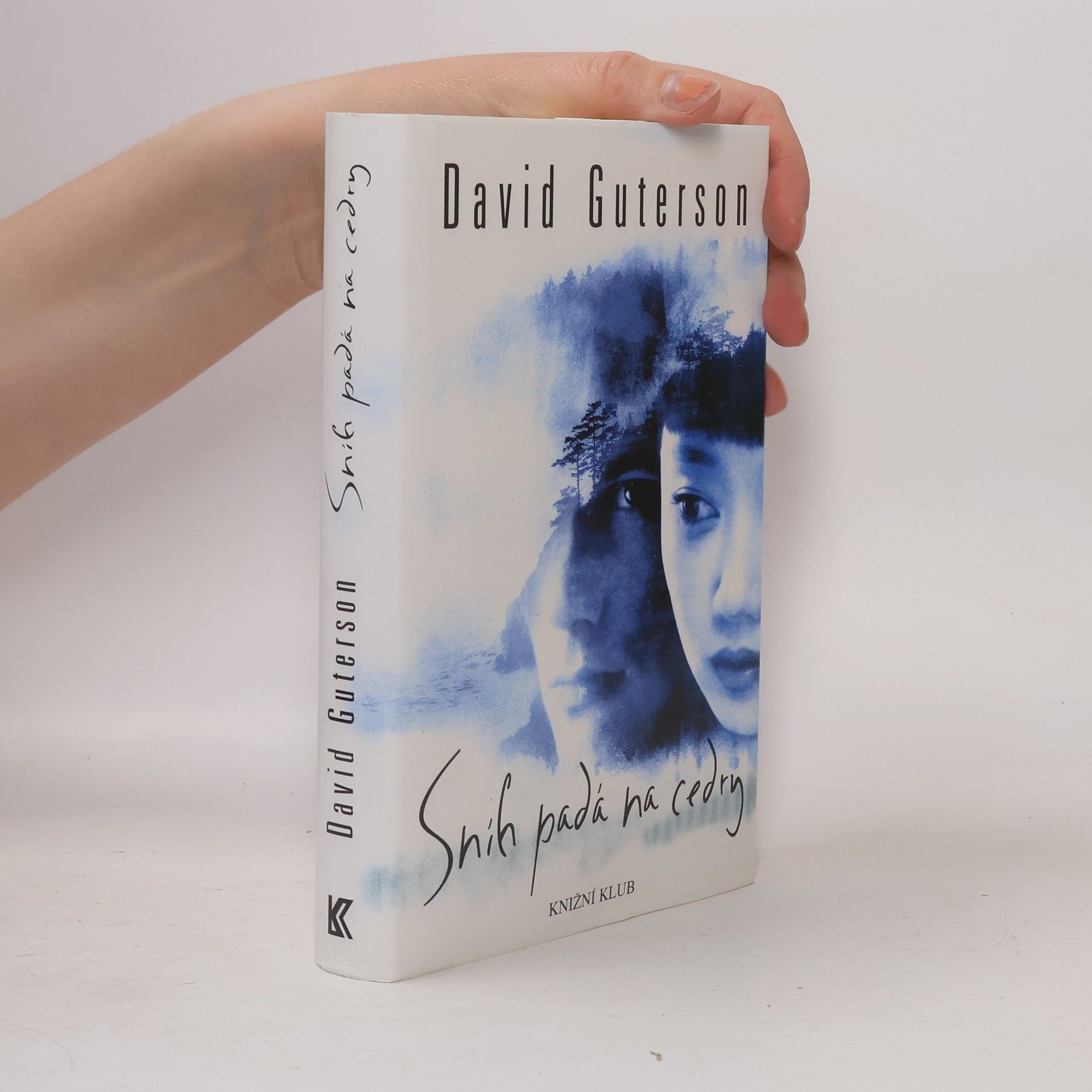 David Guterson Sníh padá na cedry