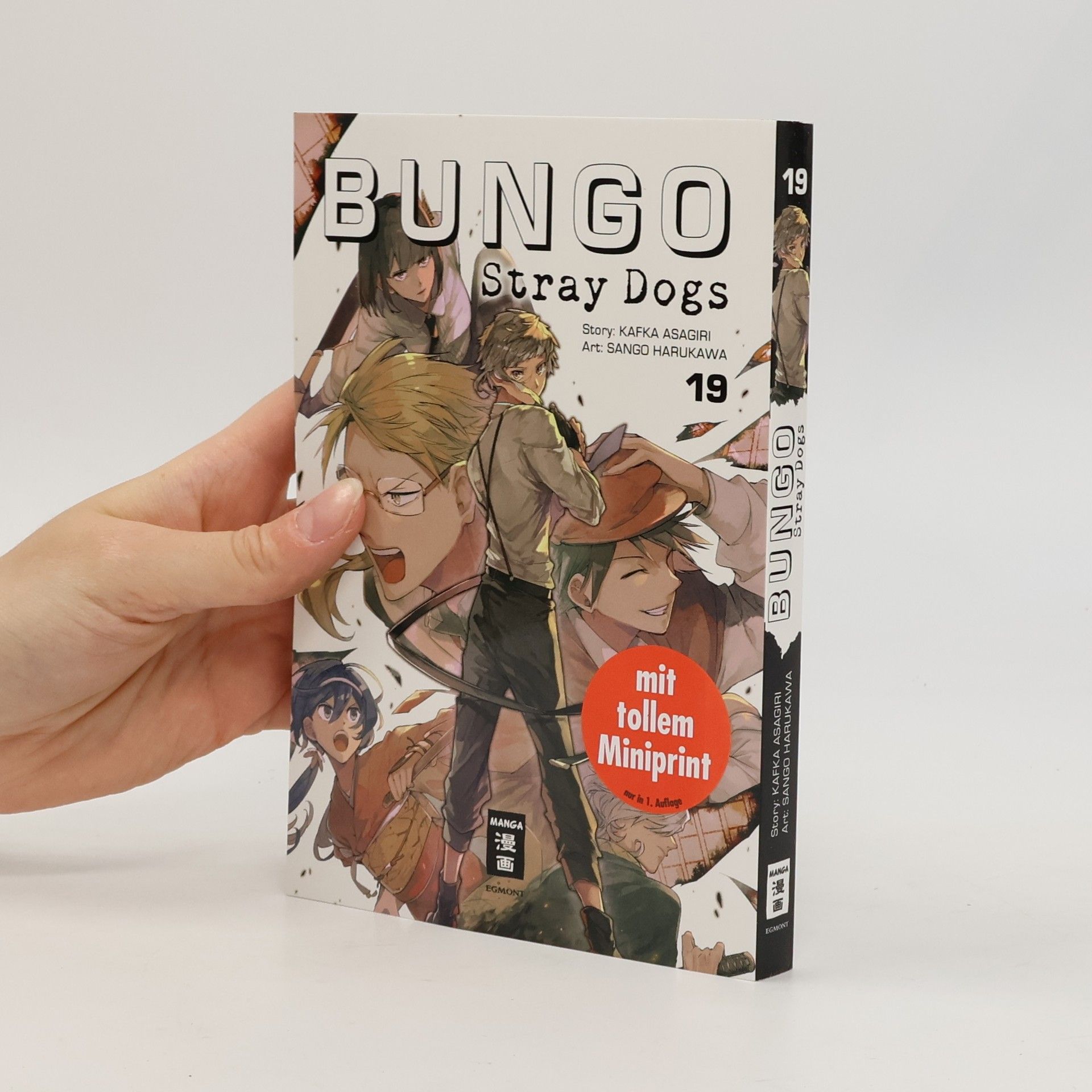 Sango Harukawa Bungo Stray Dogs 19