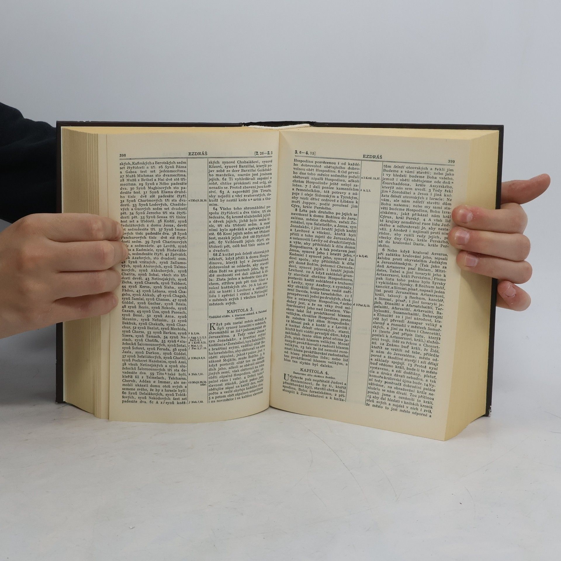 Autorenkollektiv Bible svatá aneb všecka svatá písma Starého i Nového zákona