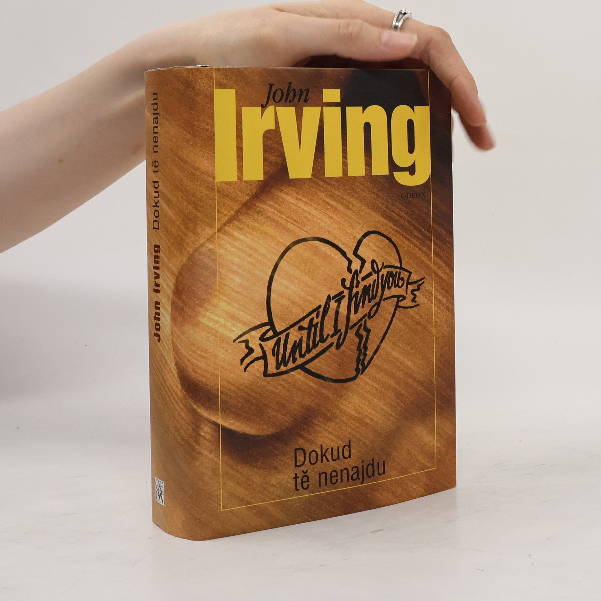 John Irving Dokud tě nenajdu