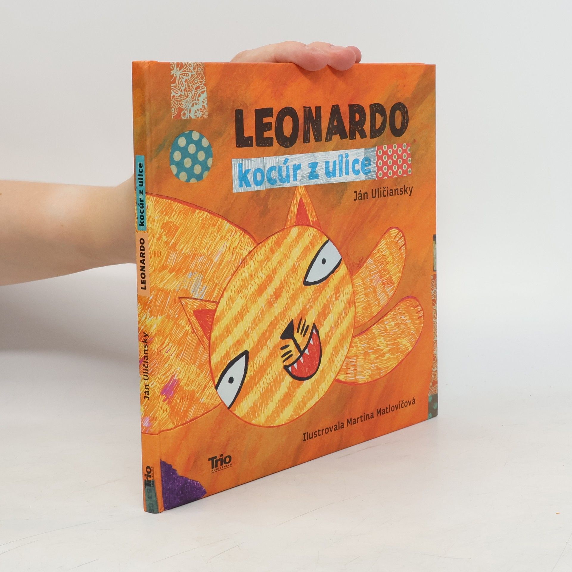 Ján Uličiansky Leonardo, kocúr z ulice