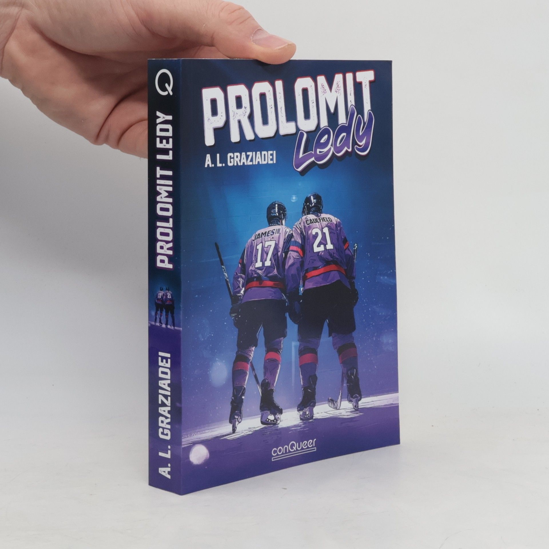 Prolomit ledy