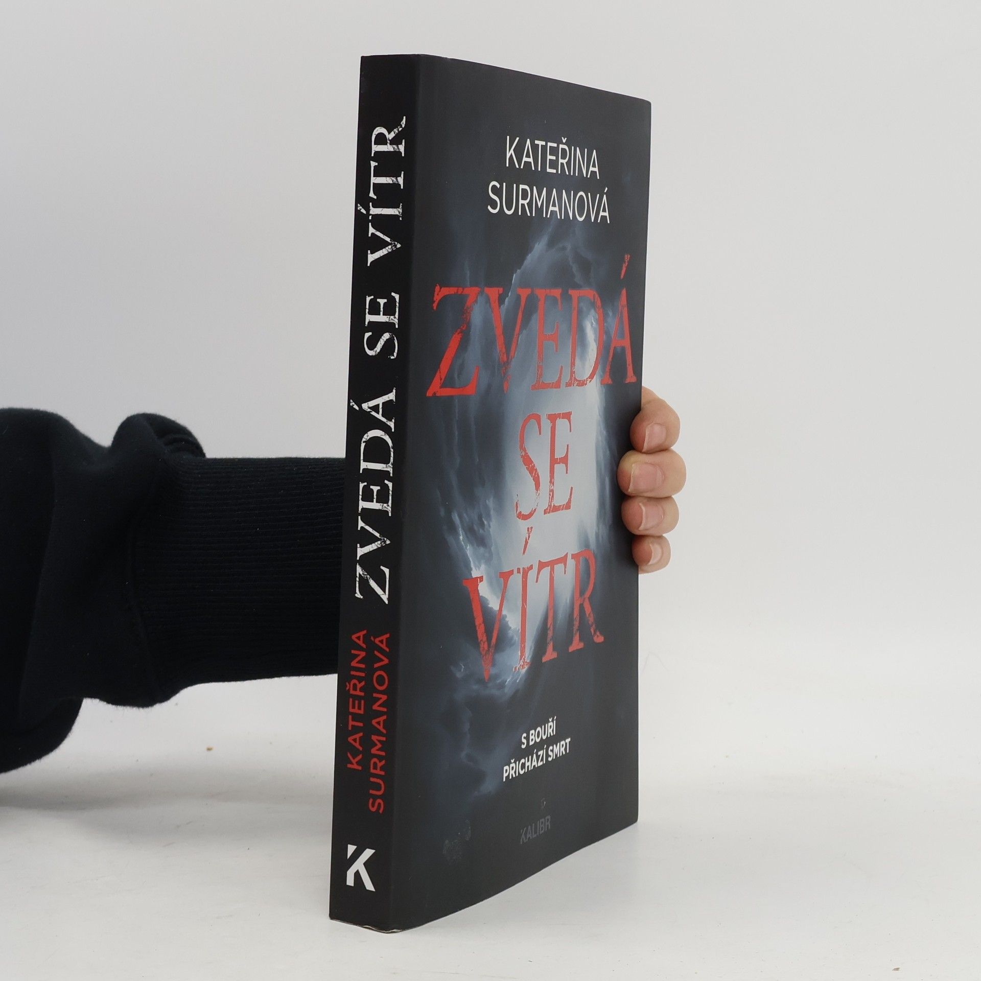 Kateřina Surmanová Zvedá se vítr