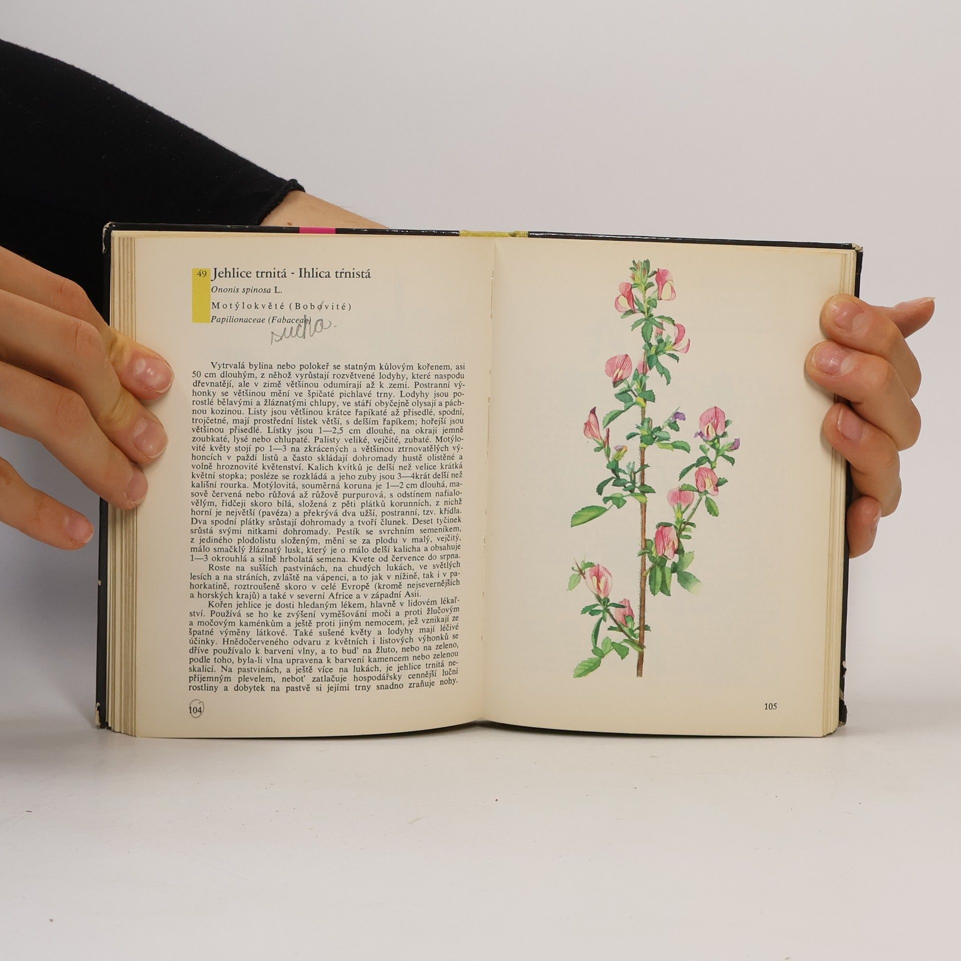 Otto Ušák Kapesní atlas rostlin