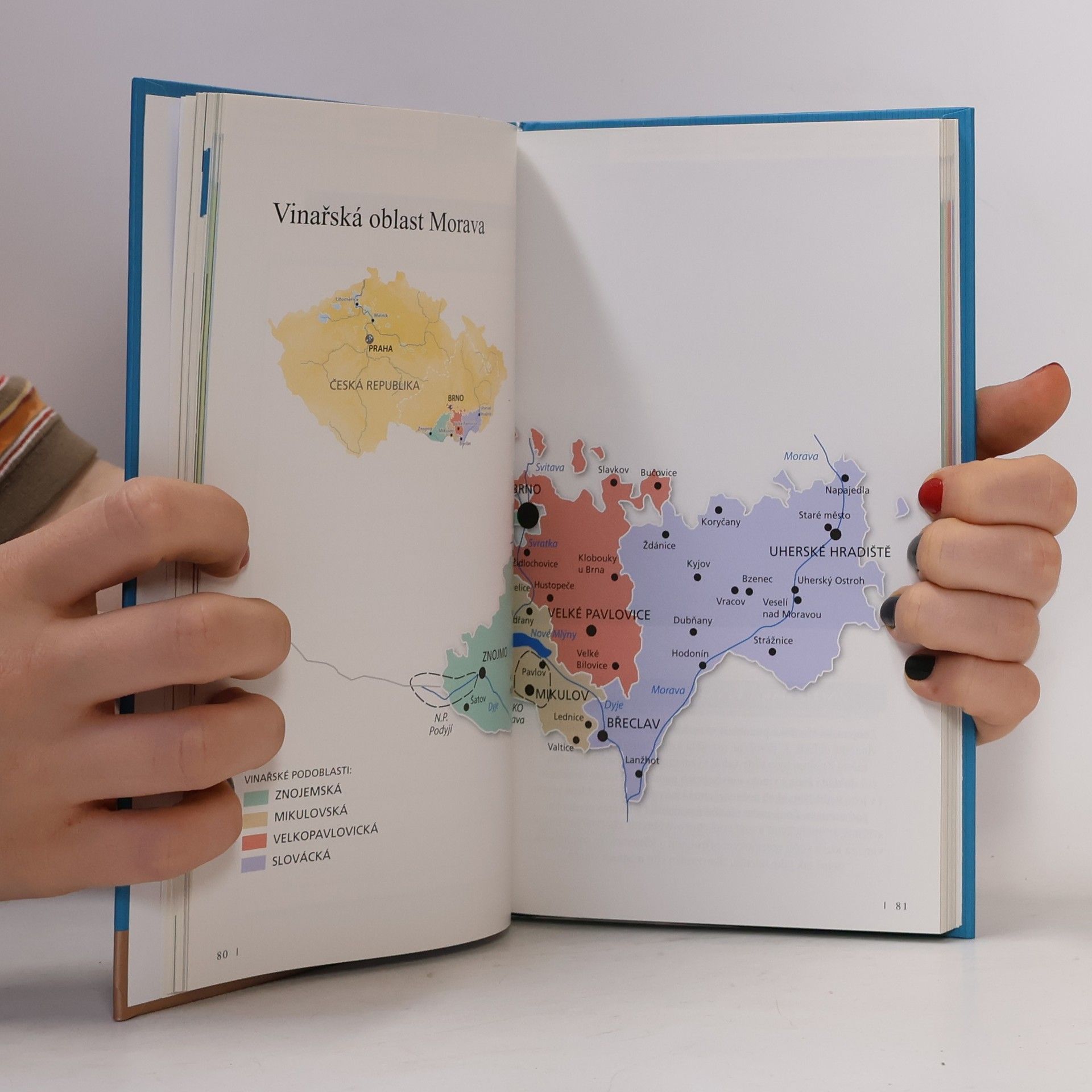 Autorenkollektiv Nejlepší vína České republiky: Průvodce 2022-2023
