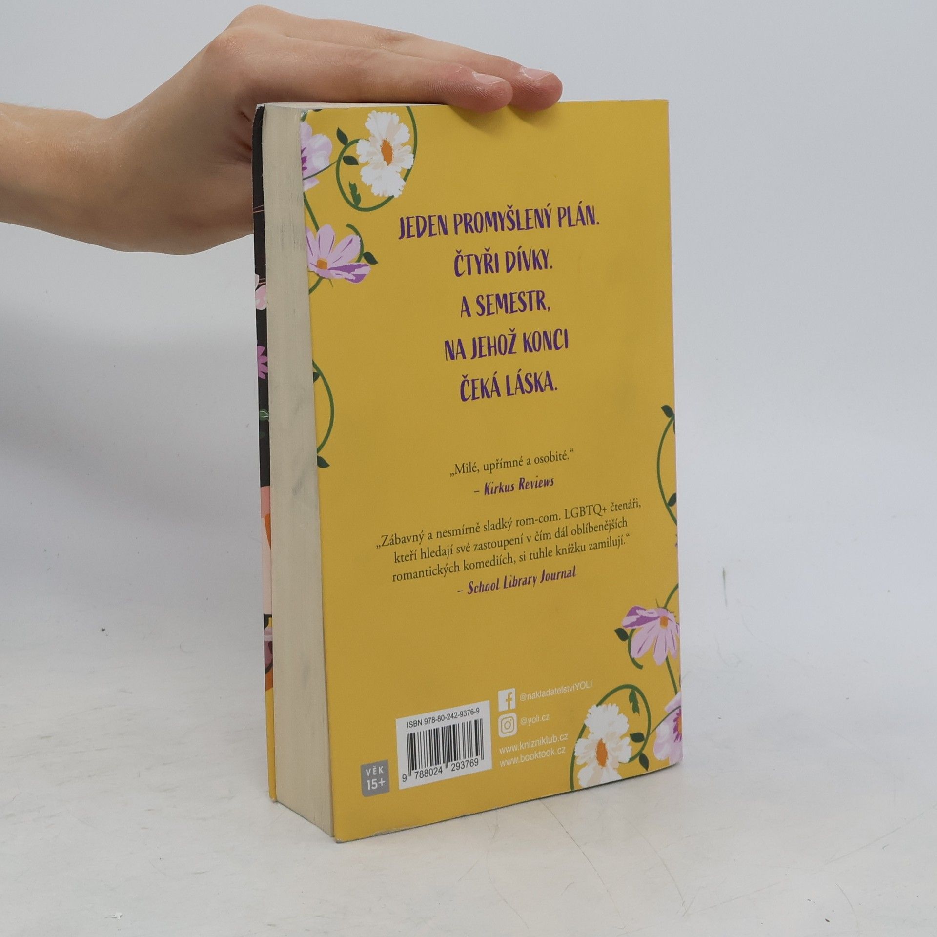 Rachael Lippincott Holka mých snů