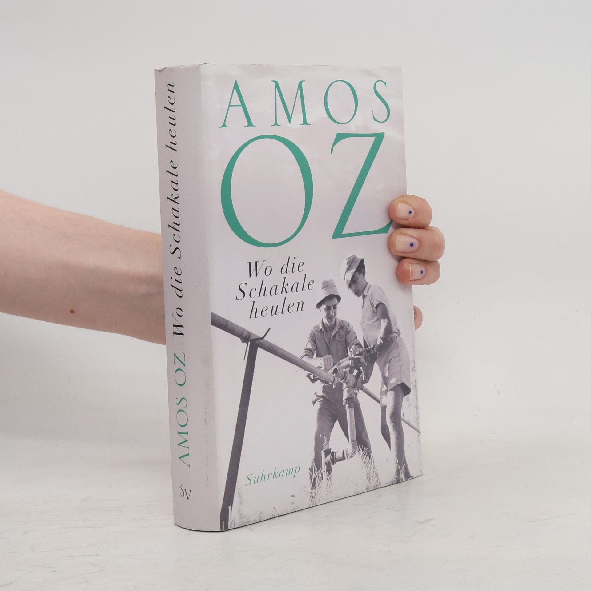 Amos Oz Wo die Schakale heulen
