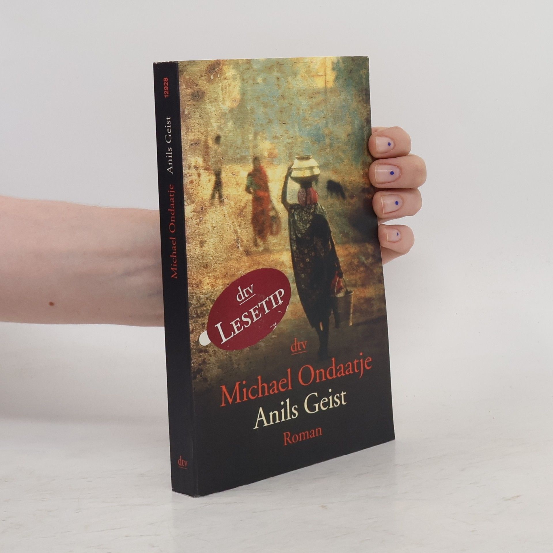 Michael Ondaatje Anils Geist