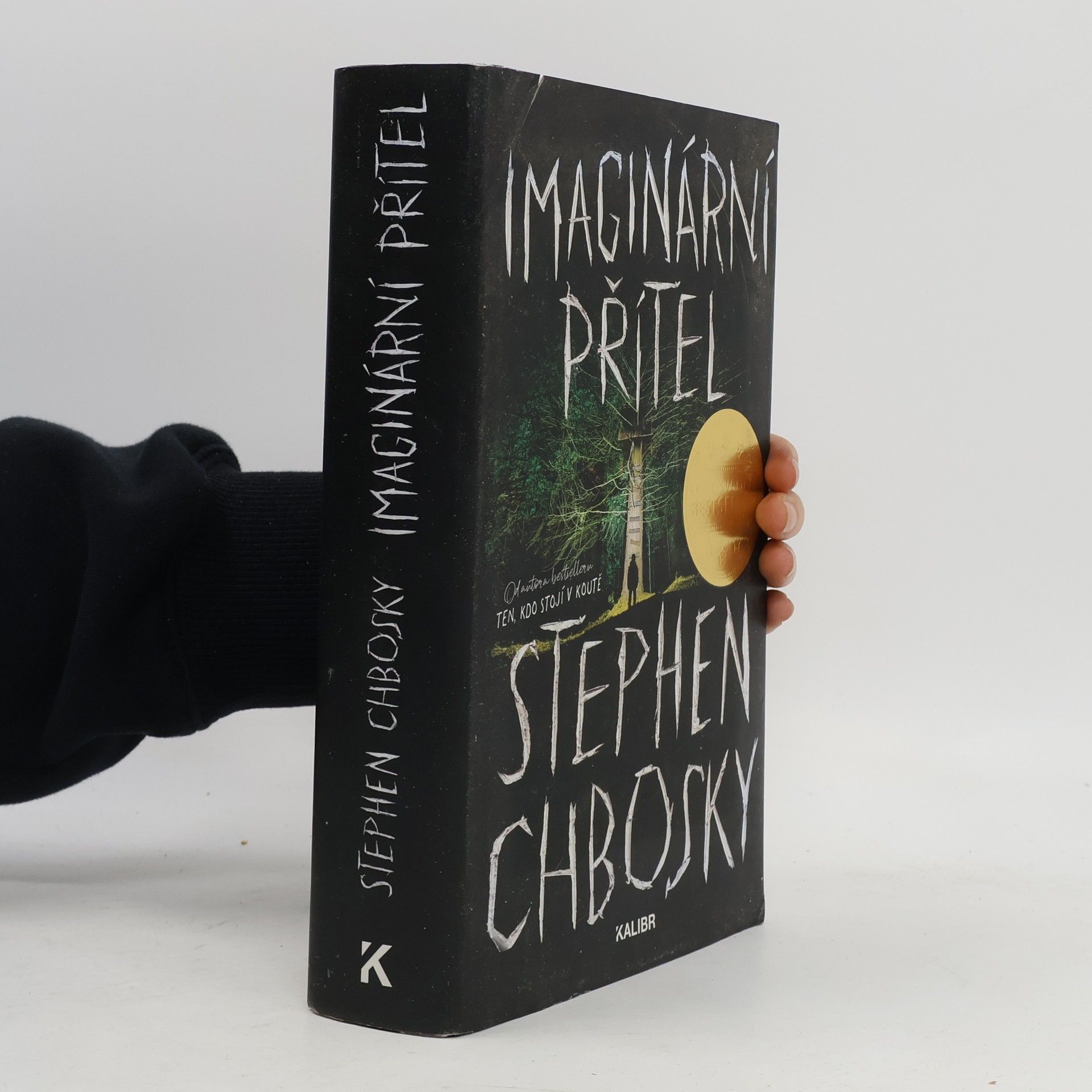 Stephen Chbosky Imaginární přítel