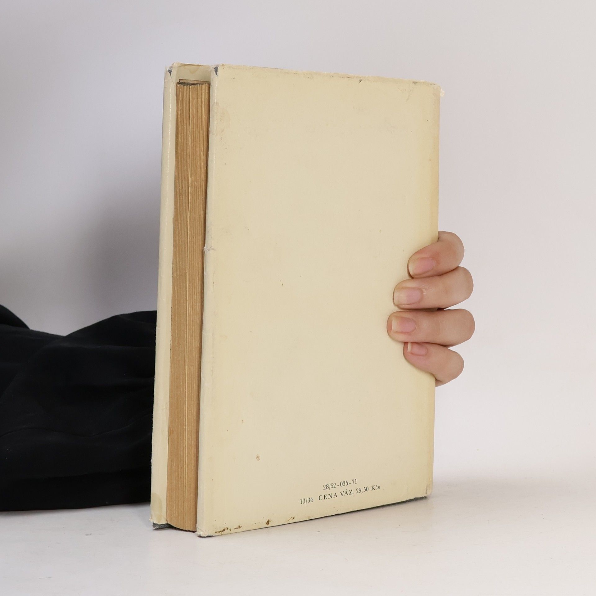 Erich Maria Remarque Vítězný oblouk