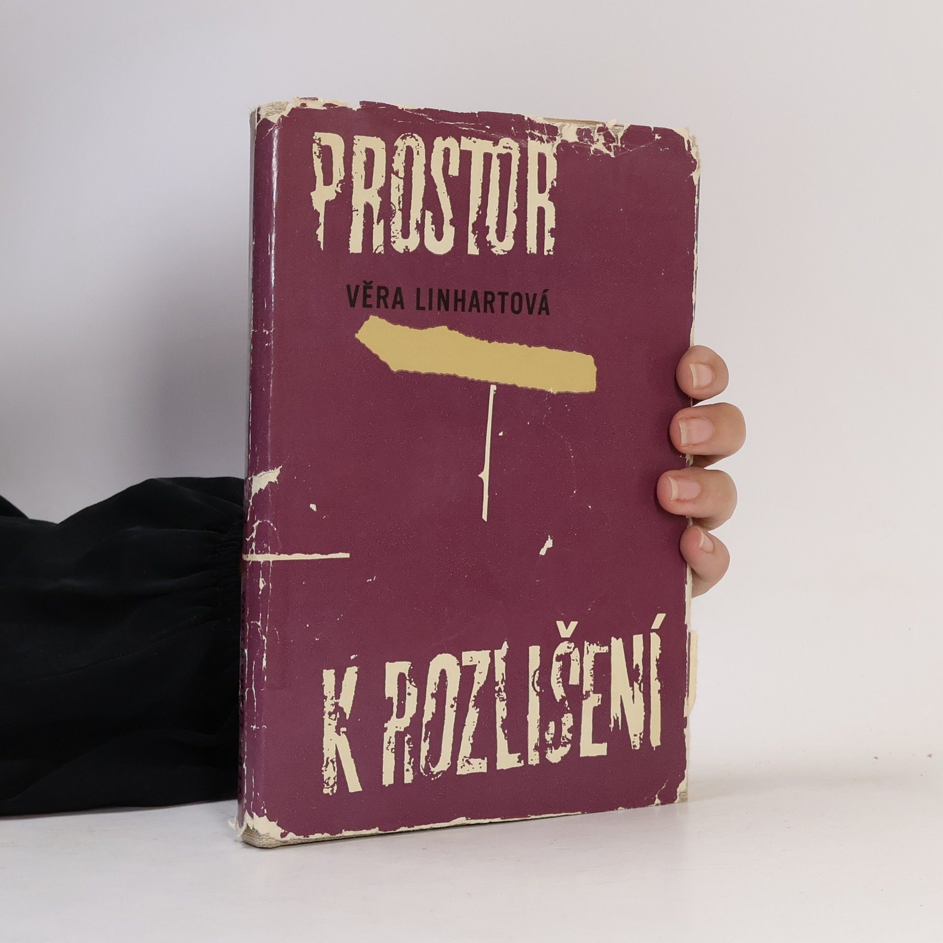 Věra Linhartová Prostor k rozlišení