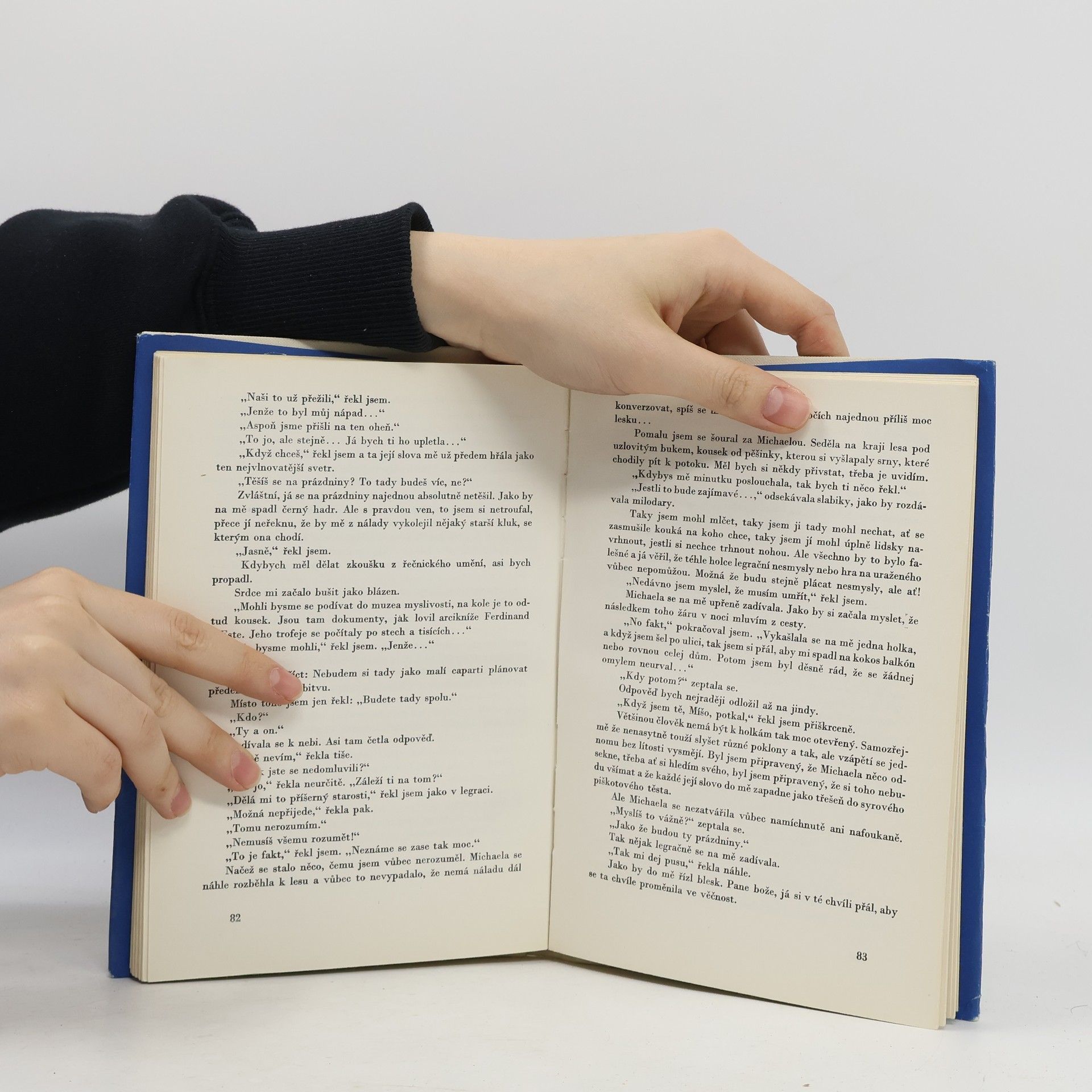 Vladimír Klevis Setkání s Michaelou