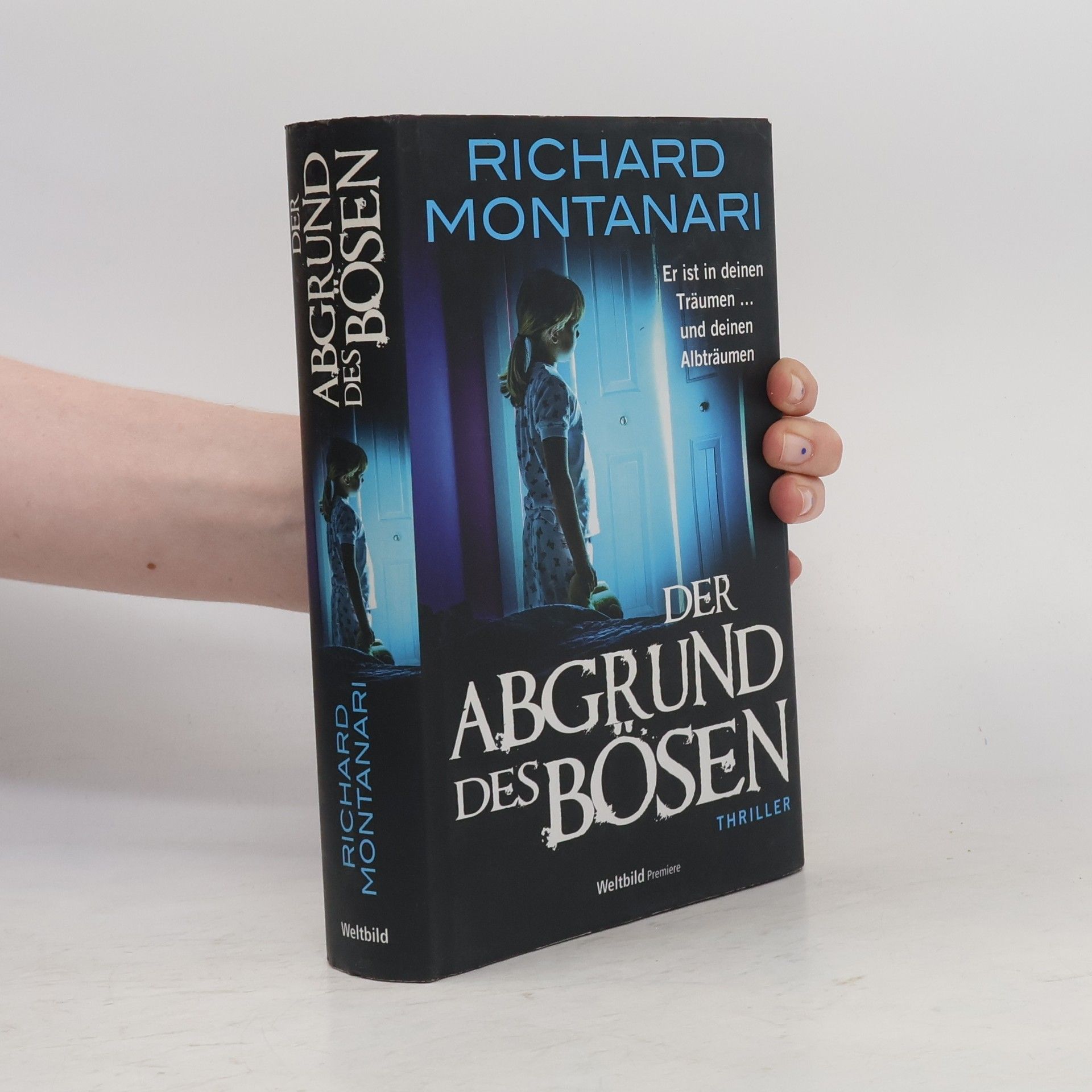 Richard Montanari Der Abgrund des Bösen