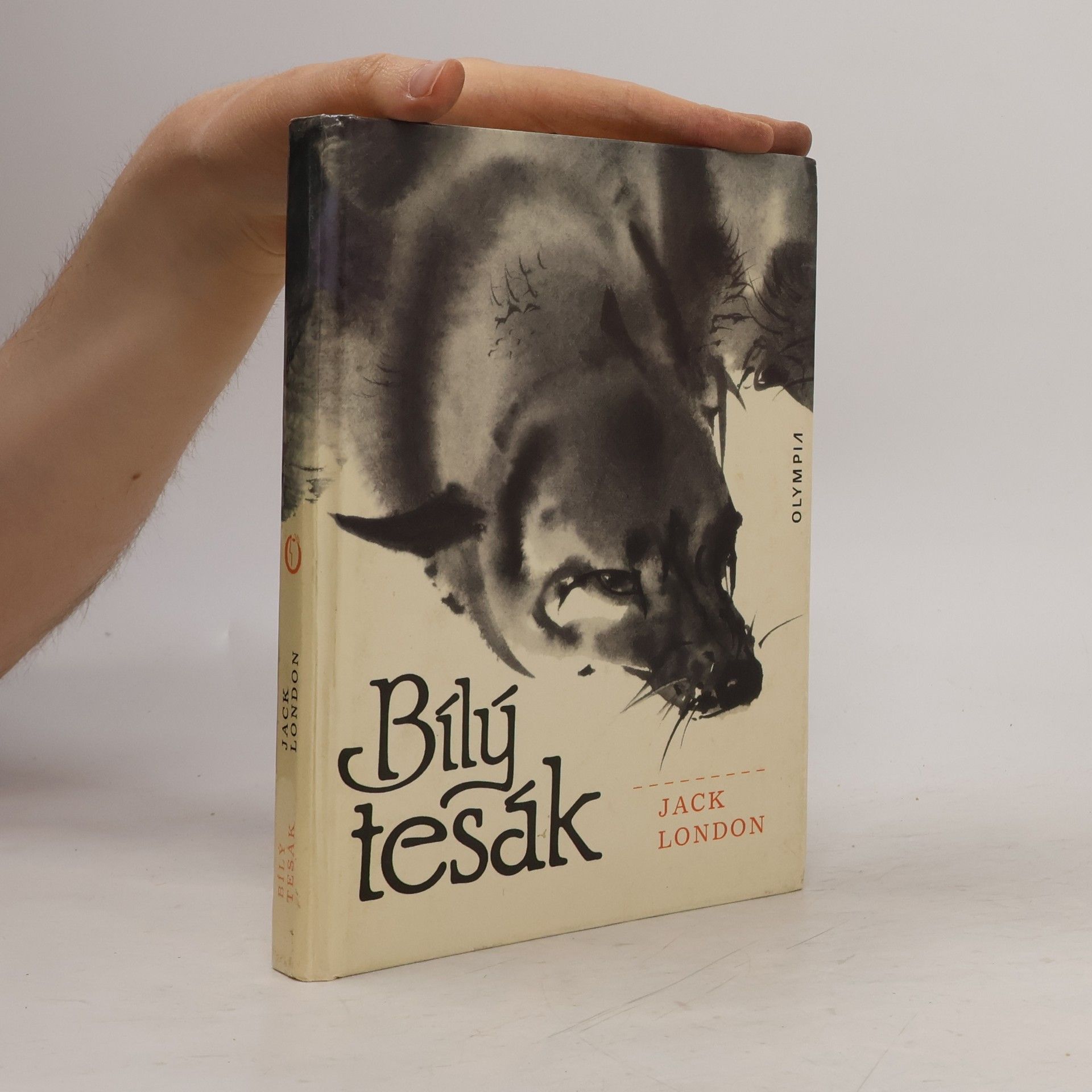 Bílý tesák