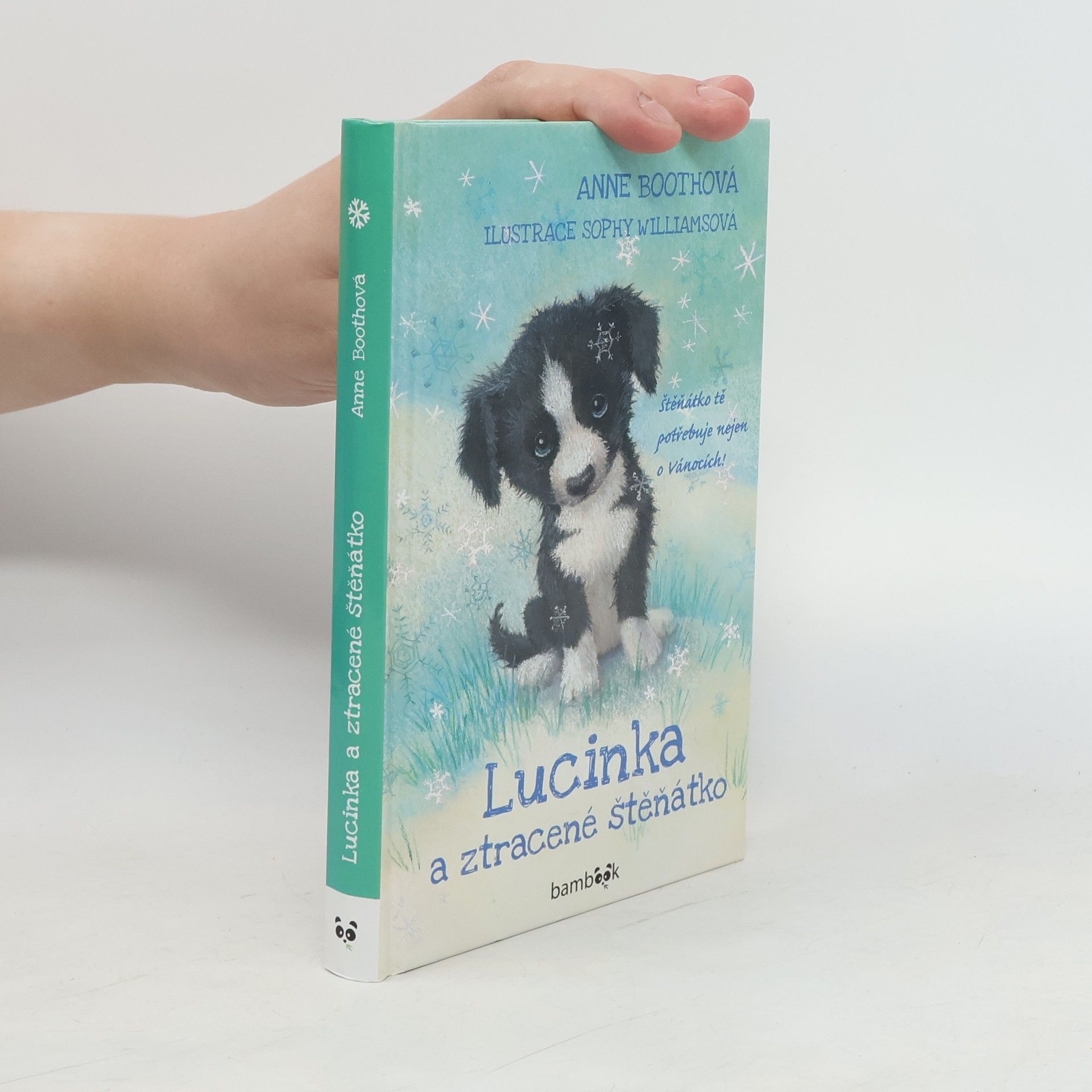 Anne Booth Lucinka a ztracené štěňátko