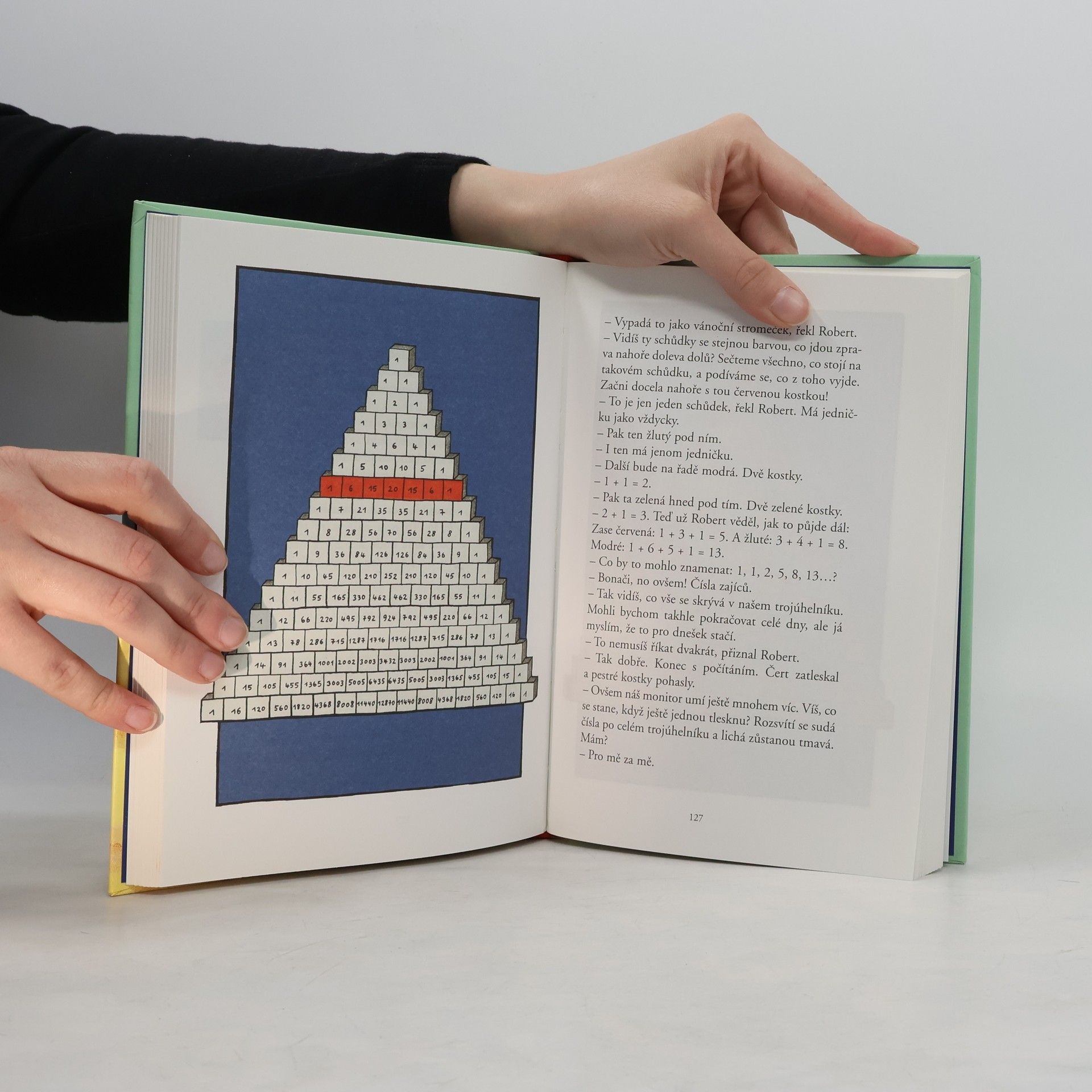 Hans Magnus Enzensberger Matematický čert: Kniha pod polštář pro všechny, kteří mají strach z matematiky