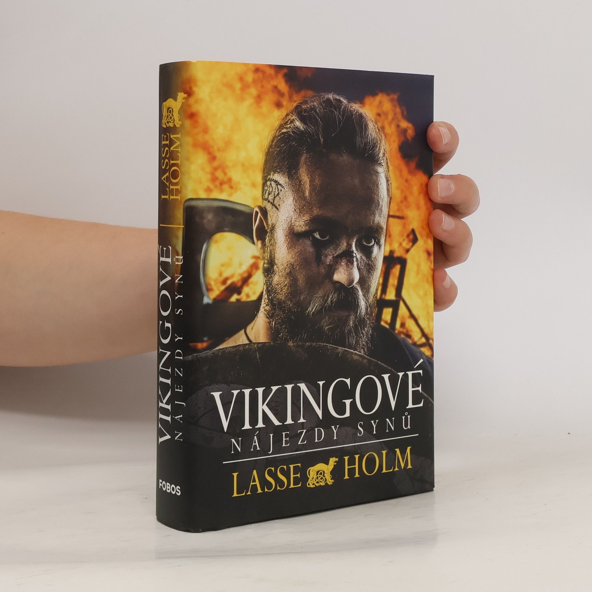 Lasse Holm Vikingové. Nájezdy synů