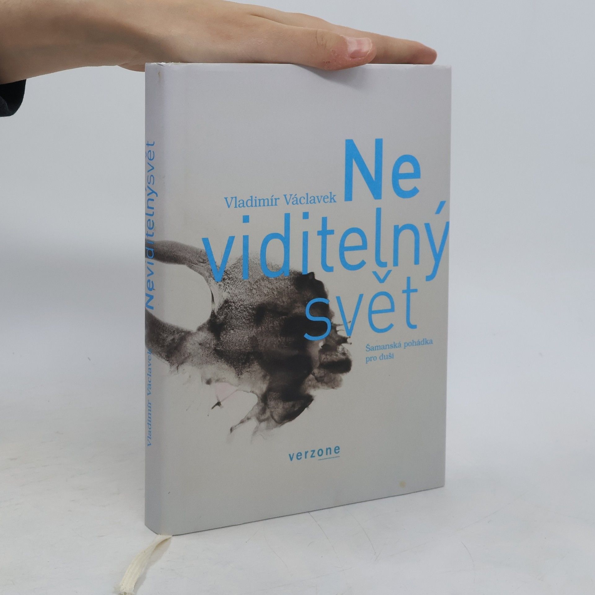 Tereza Víznerová Neviditelný svět. Šamanská pohádka pro duši