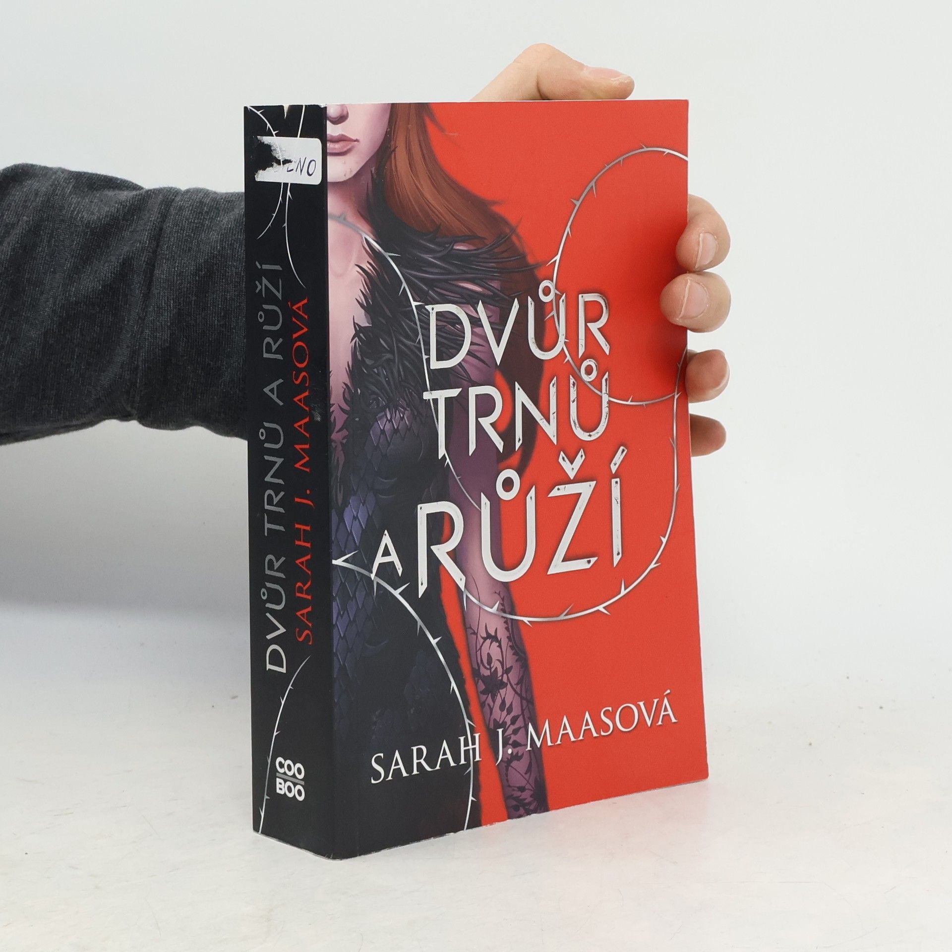 Sarah J. Maas Dvůr trnů a růží