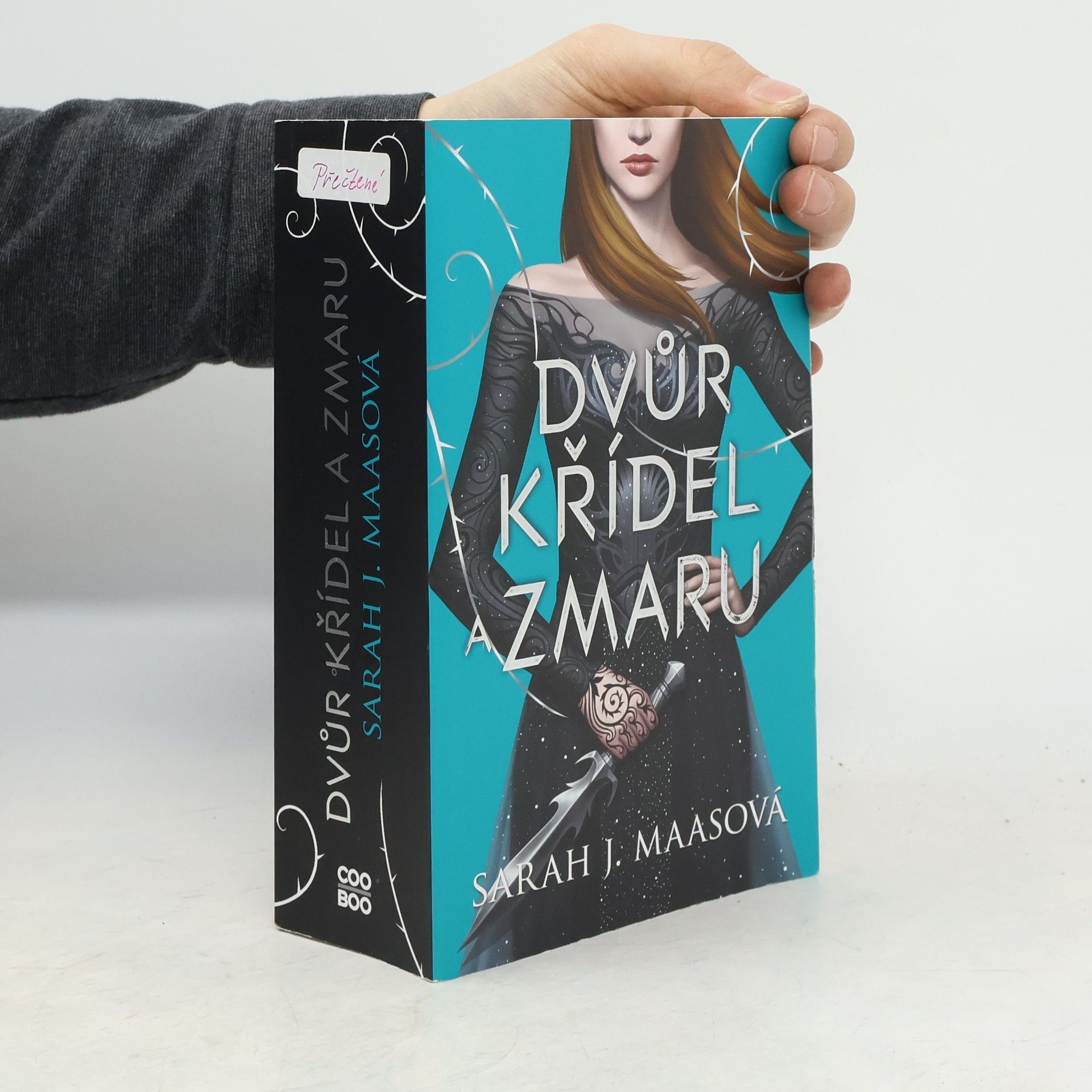 Sarah J. Maas Dvůr křídel a zmaru
