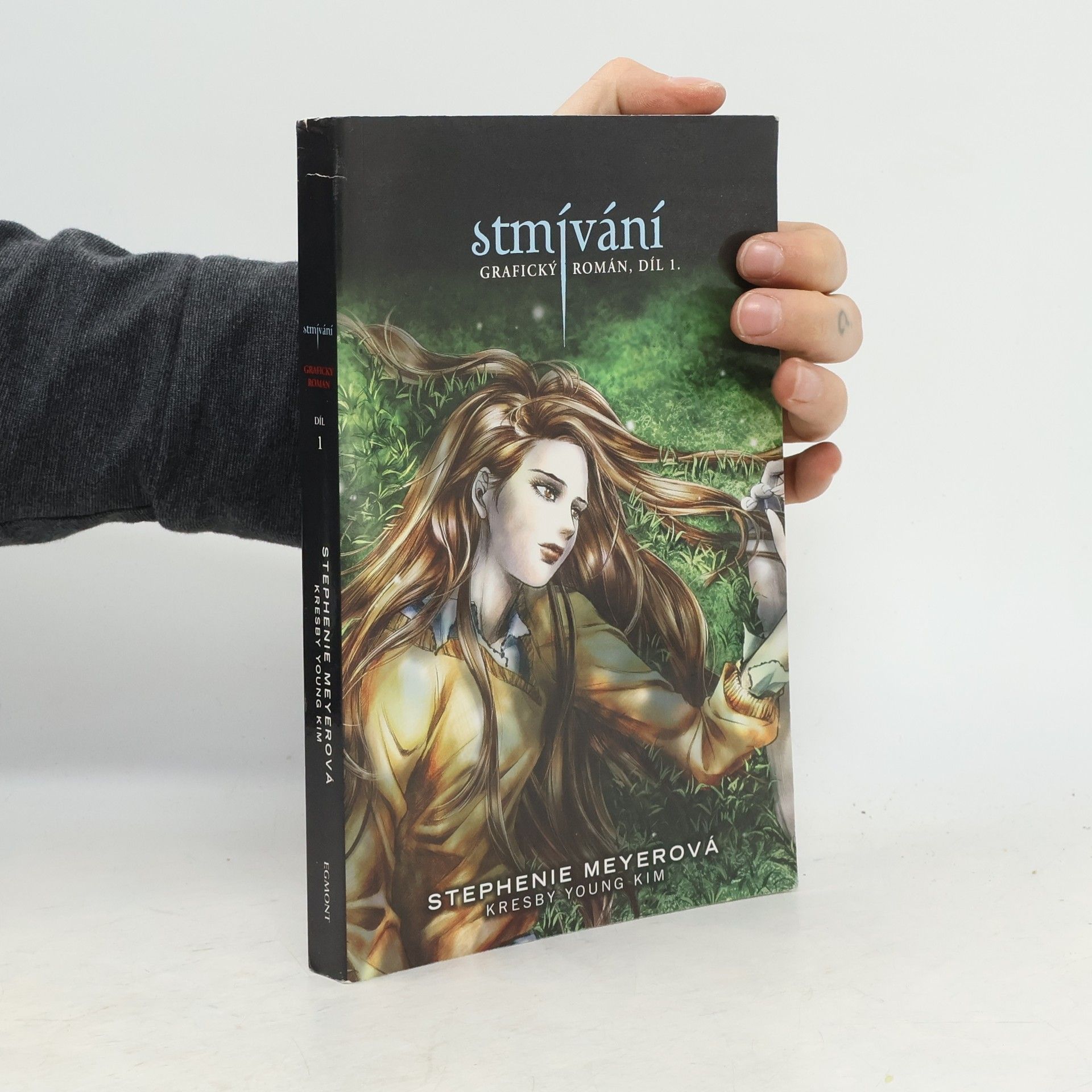 Stephenie Meyer Stmívání: Grafický román