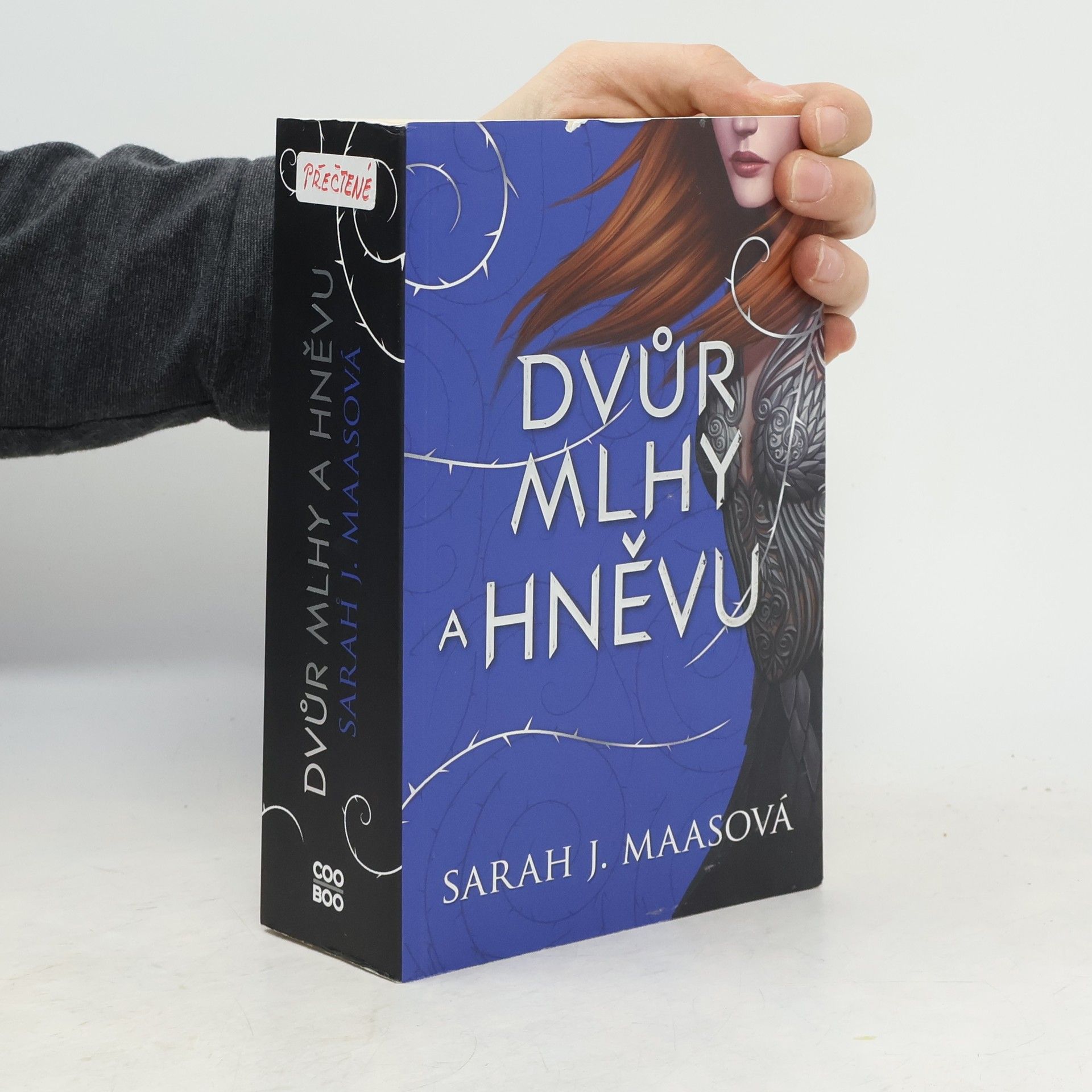 Sarah J. Maas Dvůr mlhy a hněvu