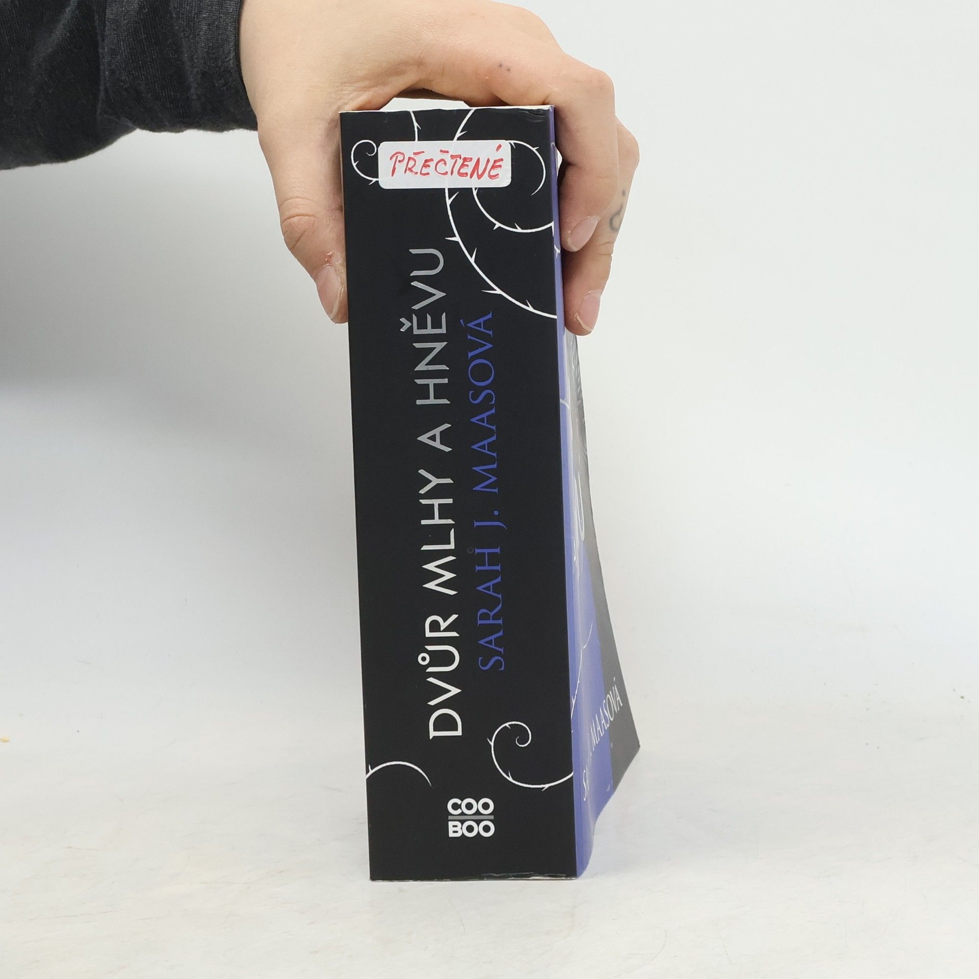Sarah J. Maas Dvůr mlhy a hněvu