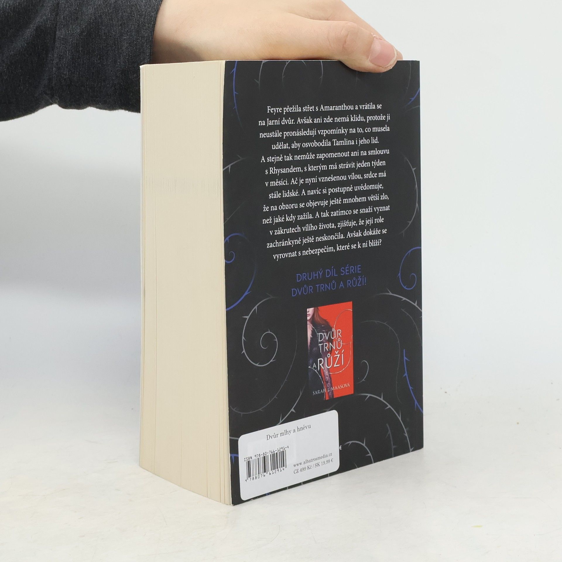 Sarah J. Maas Dvůr mlhy a hněvu