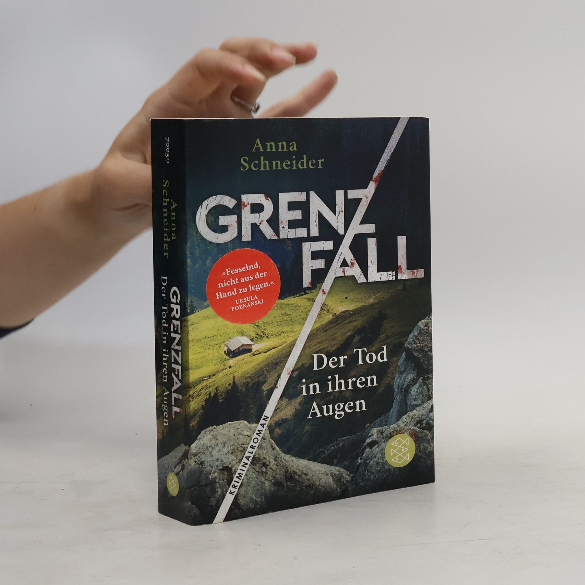 Anna Schneider Grenzfall. Der Tod in ihren Augen