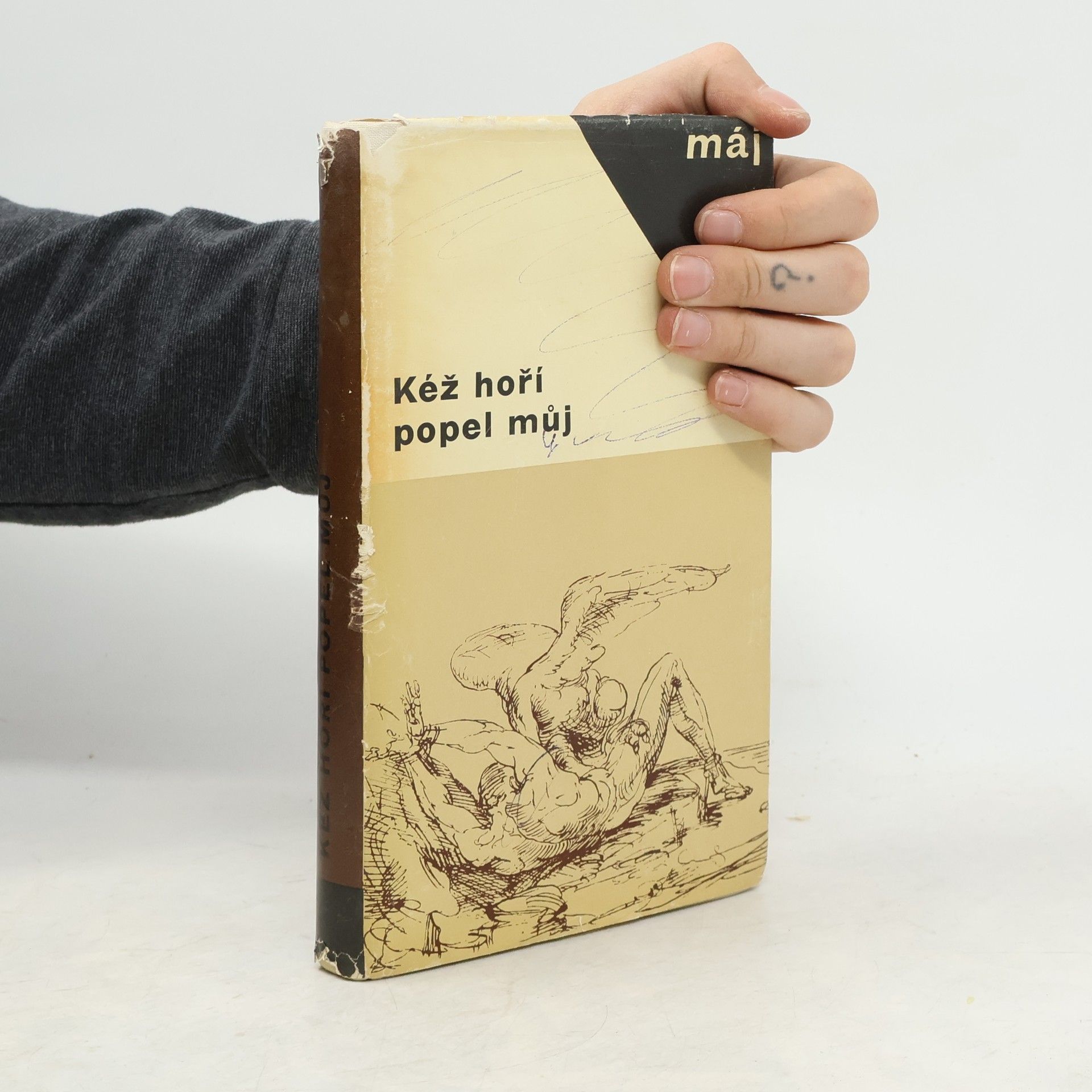 Václav Černý Kéž hoří popel můj